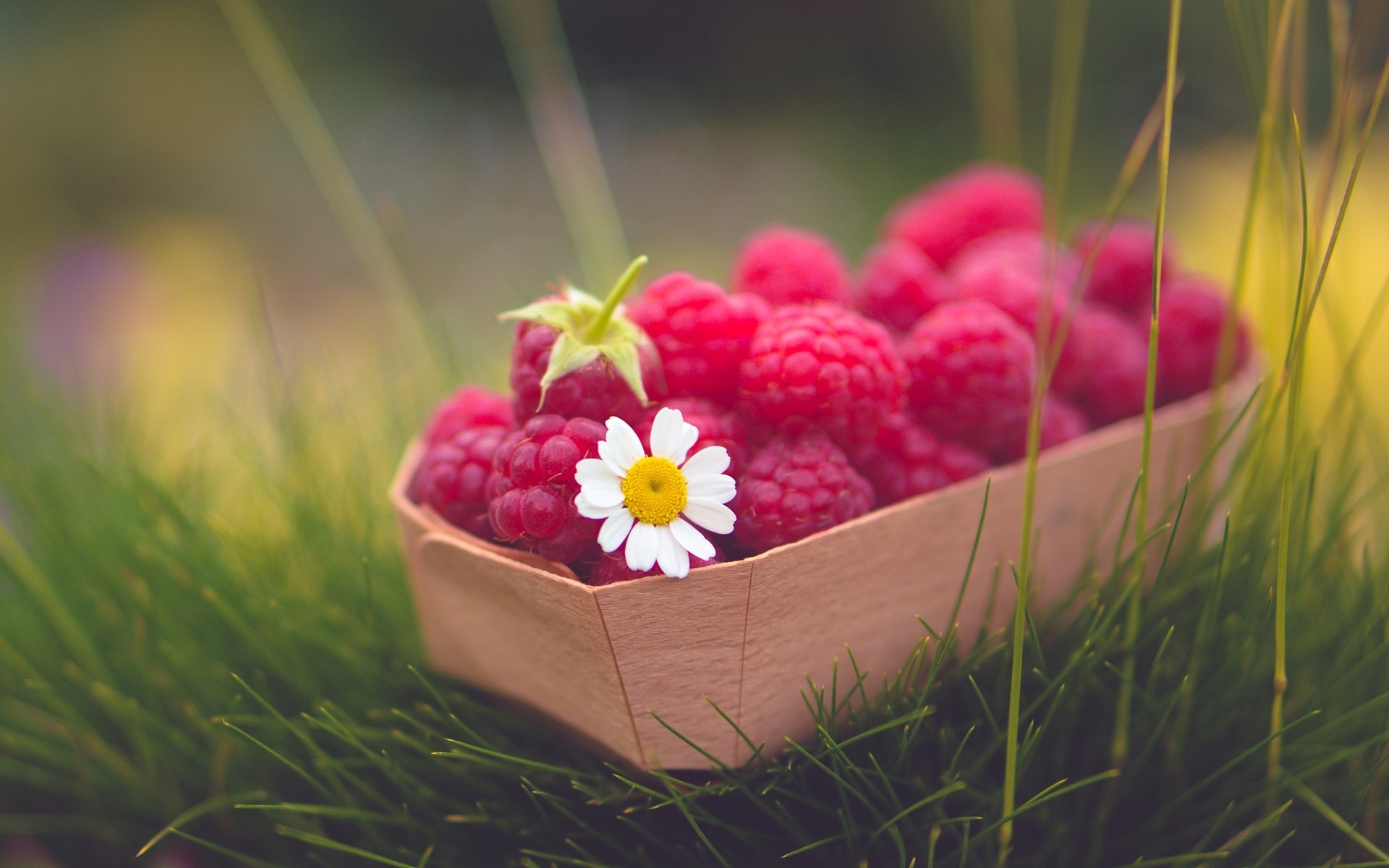 Raspberries in a basket with a daisy on grass HD Wallpaper