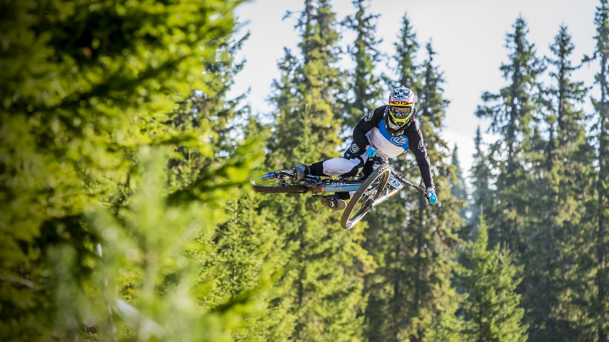 Mountain biker jumping over trees HD Wallpaper