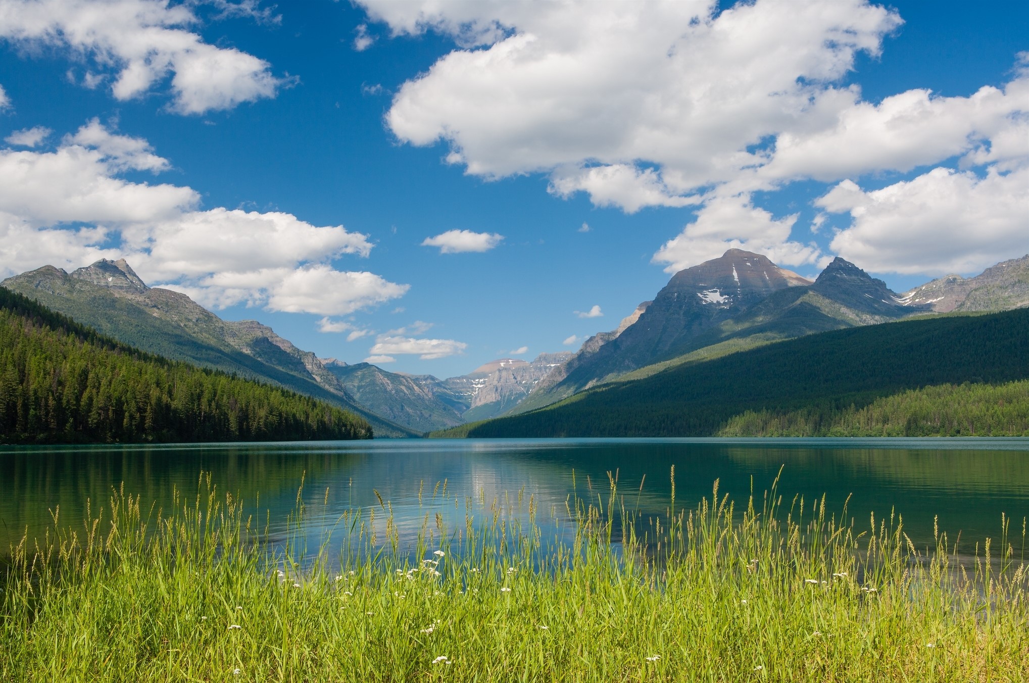 Bowman Lake and Mountains in Glacier National Park, Montana HD Wallpaper