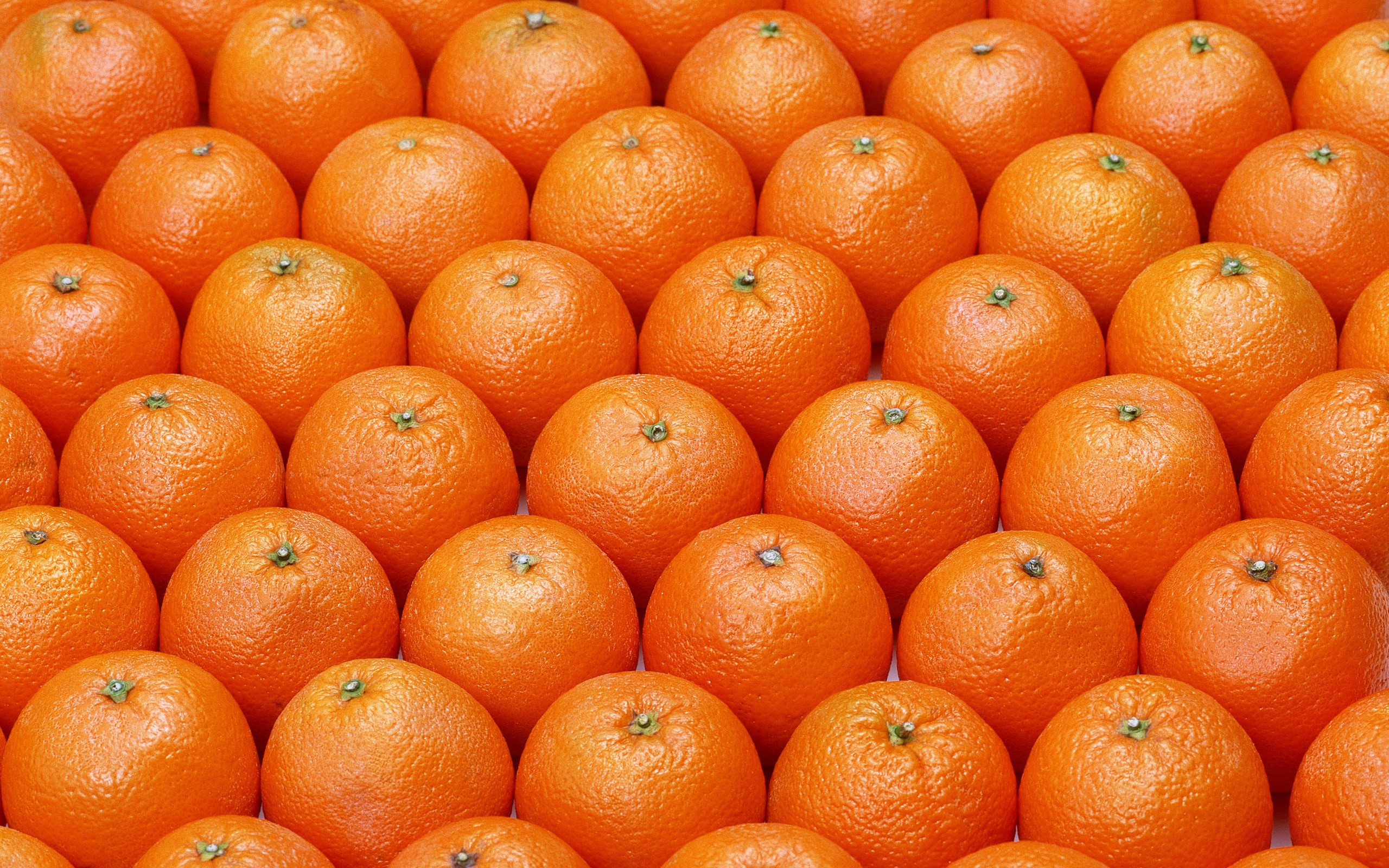 Many oranges arranged in rows HD Wallpaper