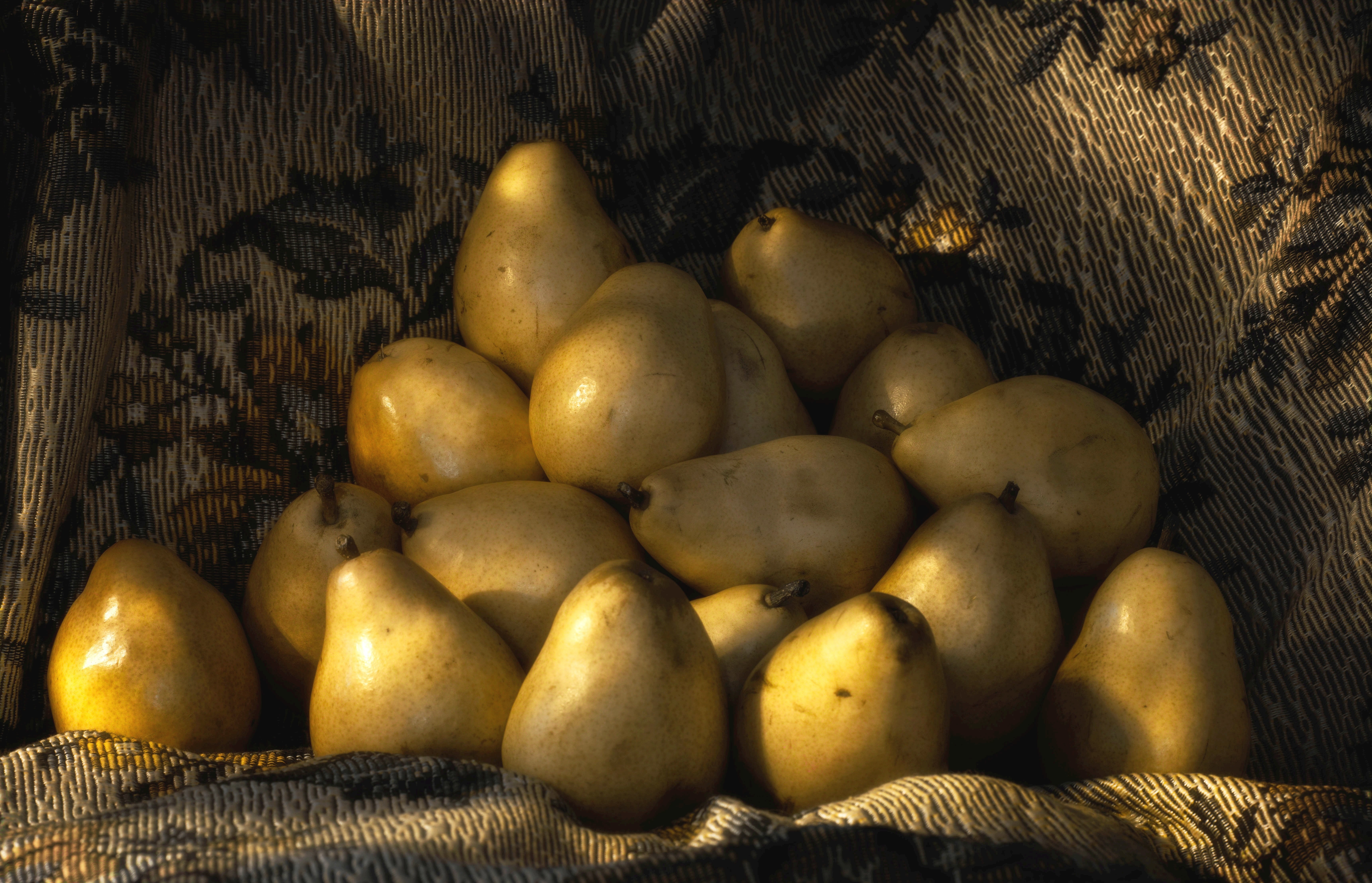 Many Pears on a Textured Fabric HD Wallpaper