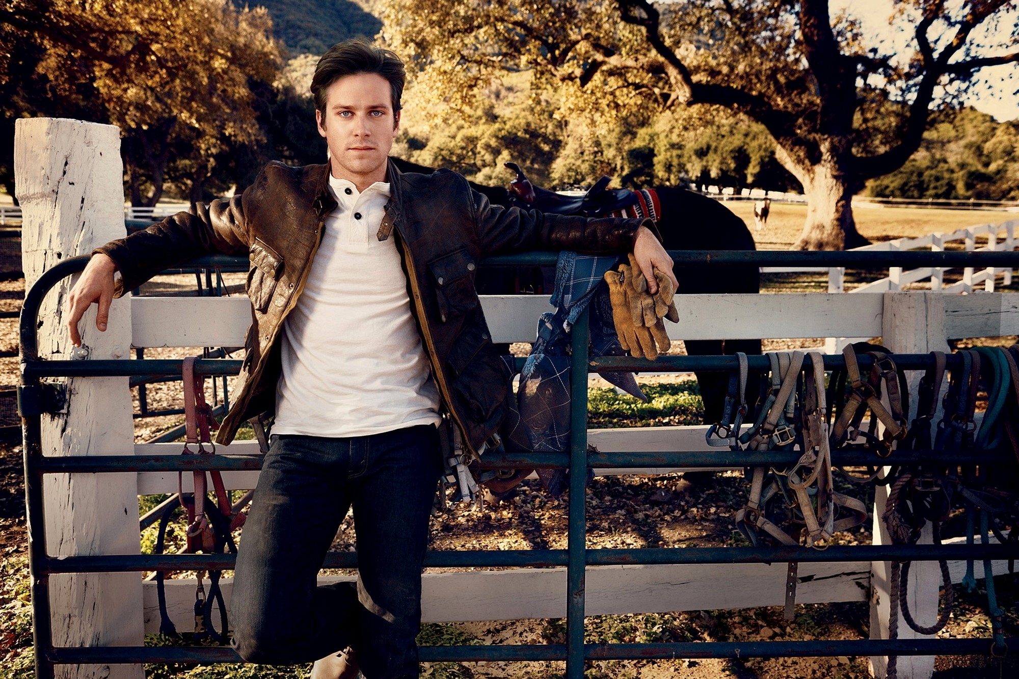 Armie Hammer leaning on a fence with horse tack HD Wallpaper
