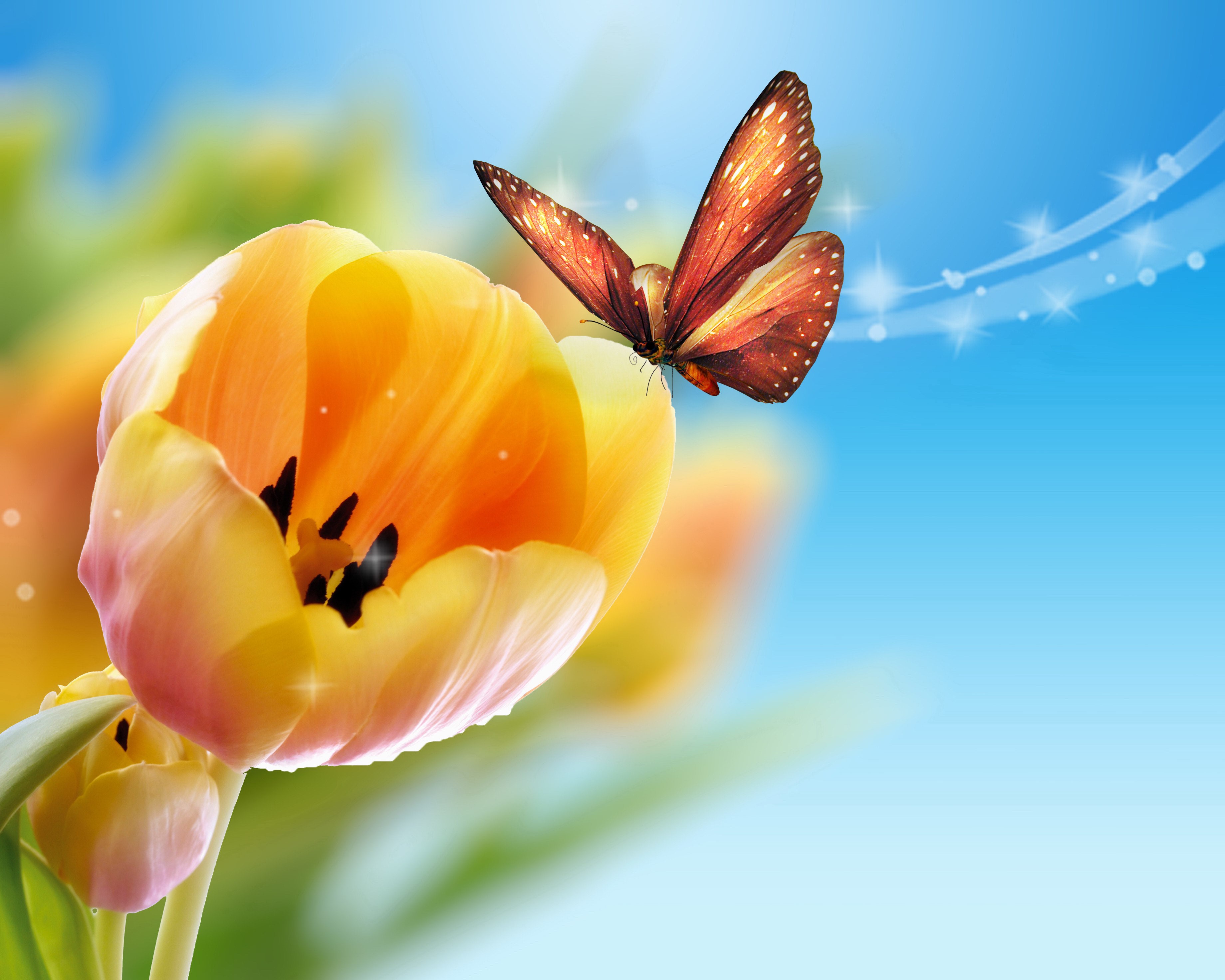 Orange butterfly on a yellow tulip HD Wallpaper