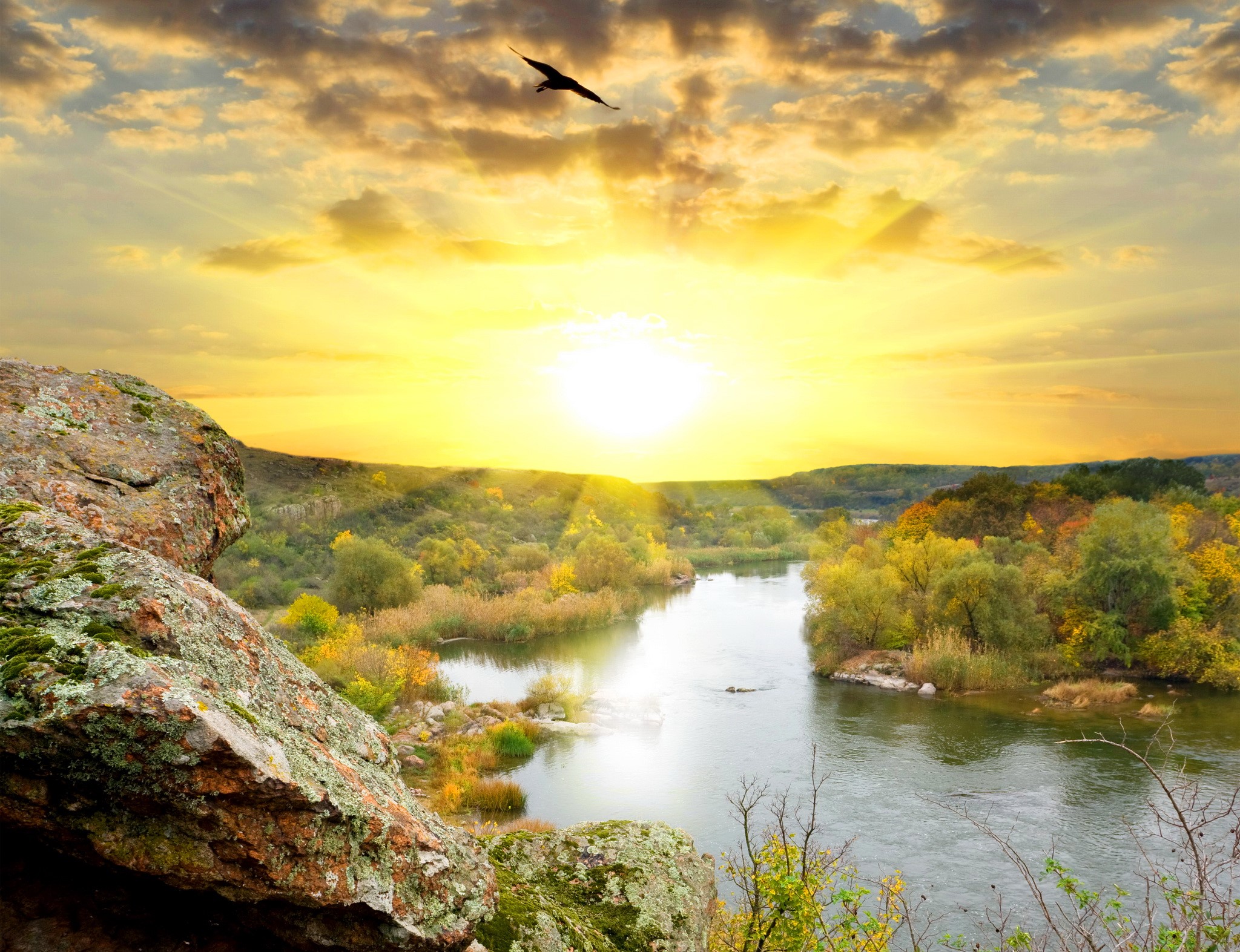 River landscape at sunset with a bird flying HD Wallpaper