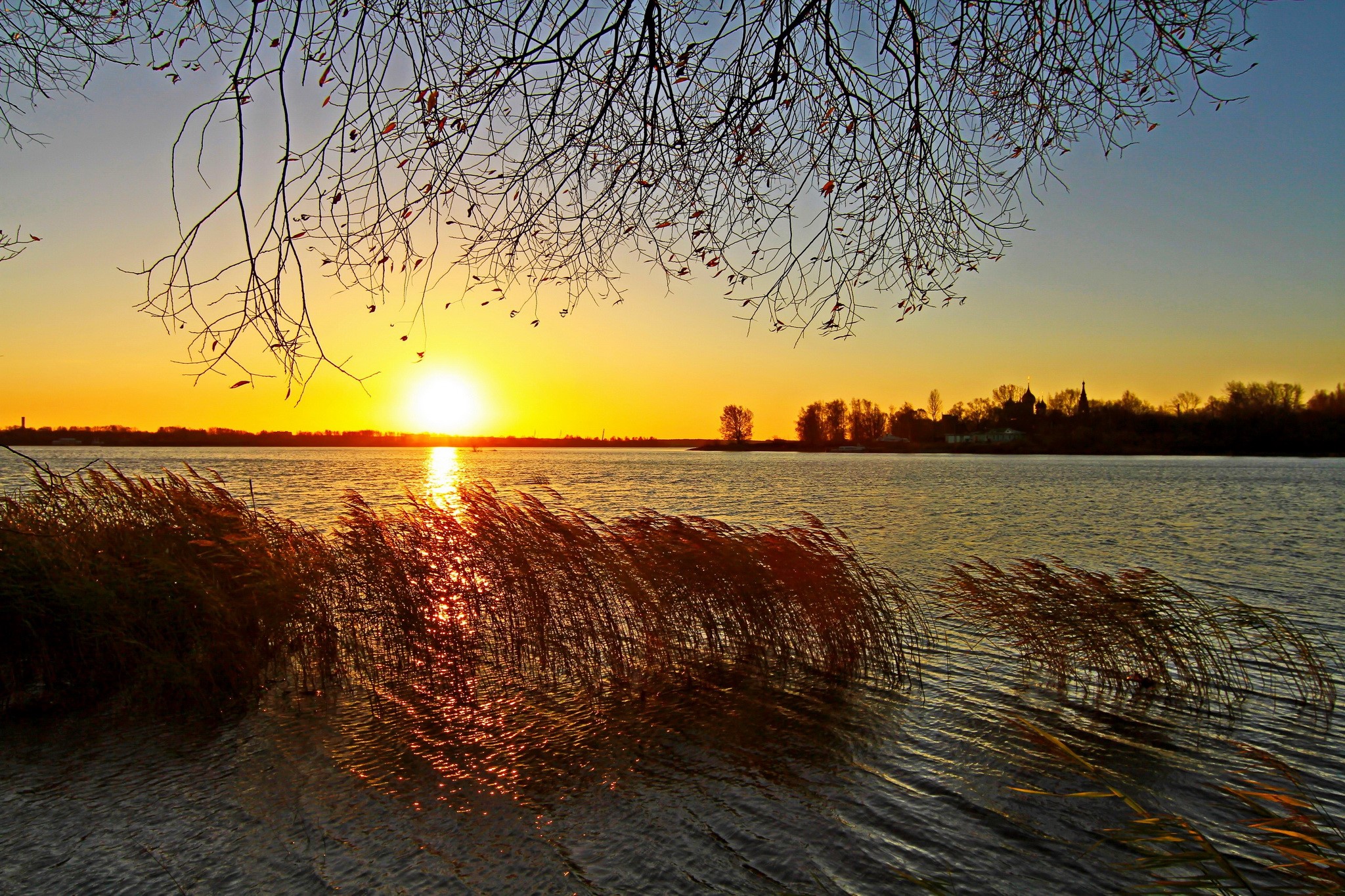 Sunset over a lake with reeds and trees HD Wallpaper