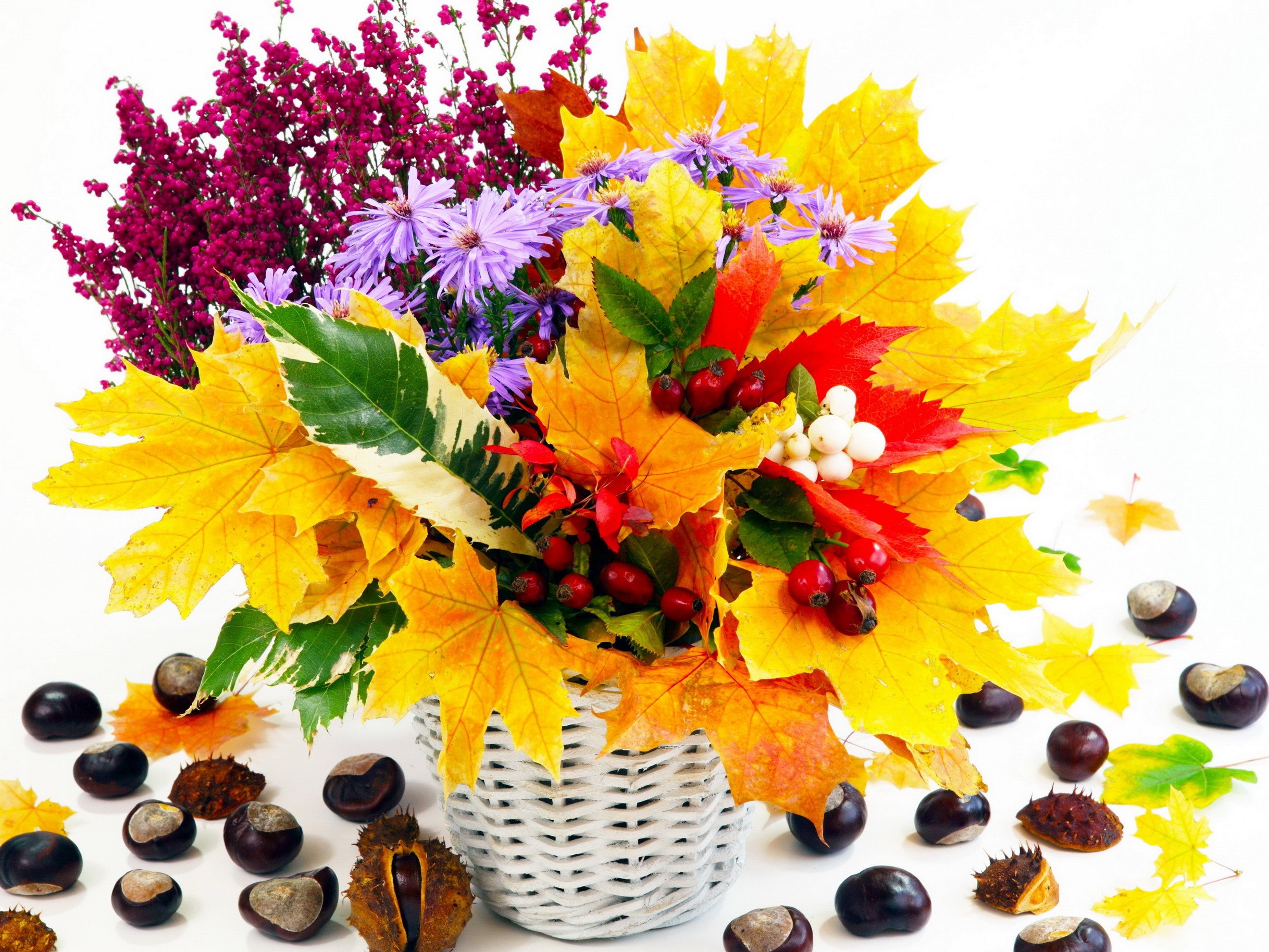 Autumn bouquet with maple leaves and chestnuts HD Wallpaper