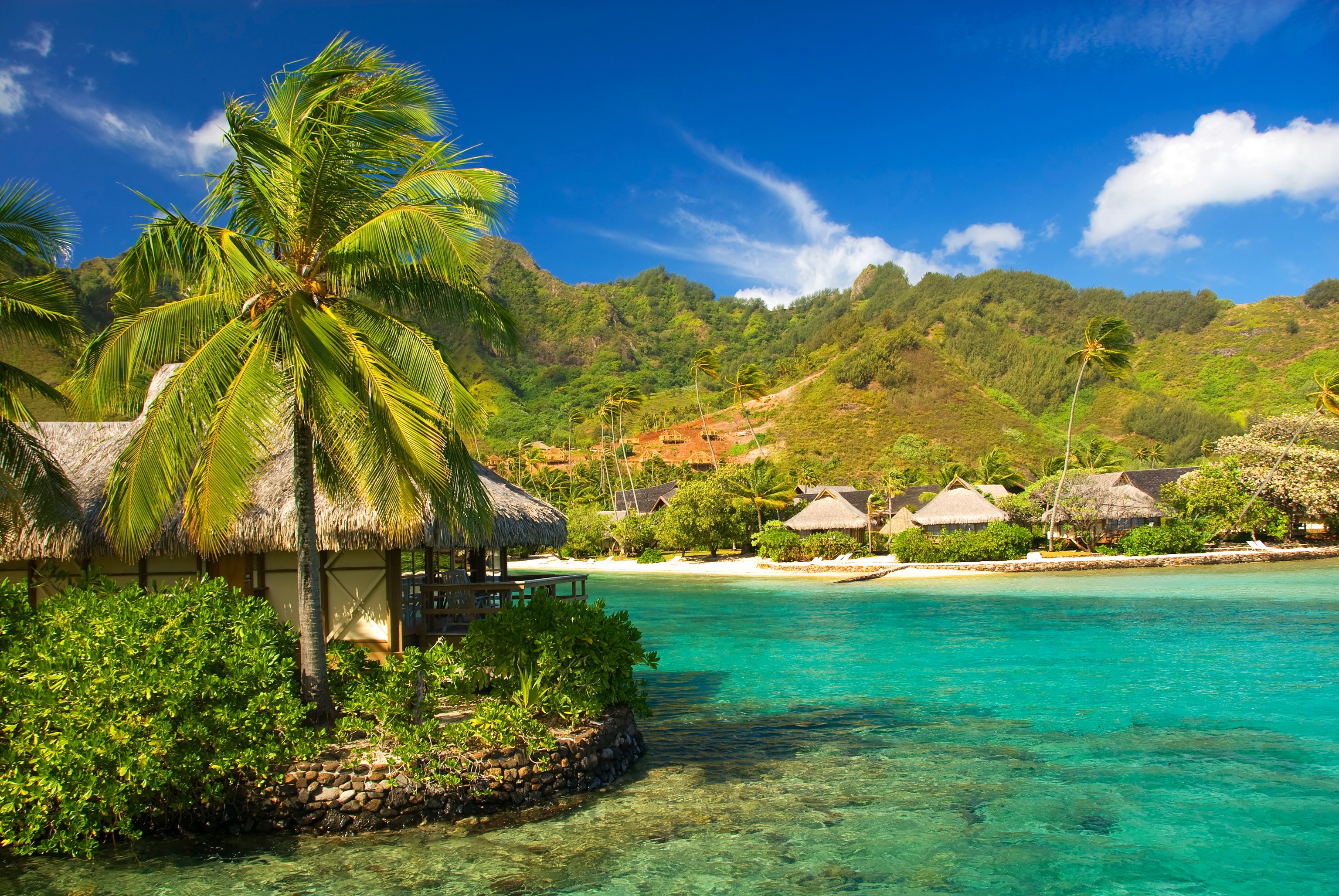 Overwater bungalows in Moorea, French Polynesia HD Wallpaper