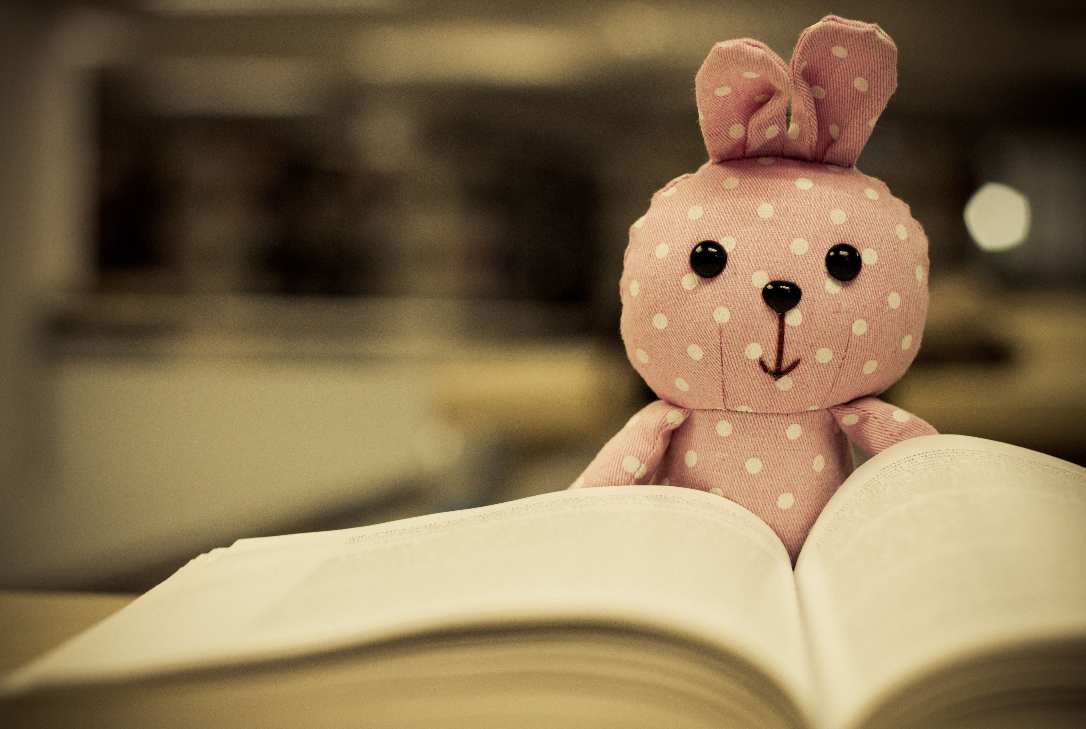 Pink polka dot bunny toy on an open book HD Wallpaper