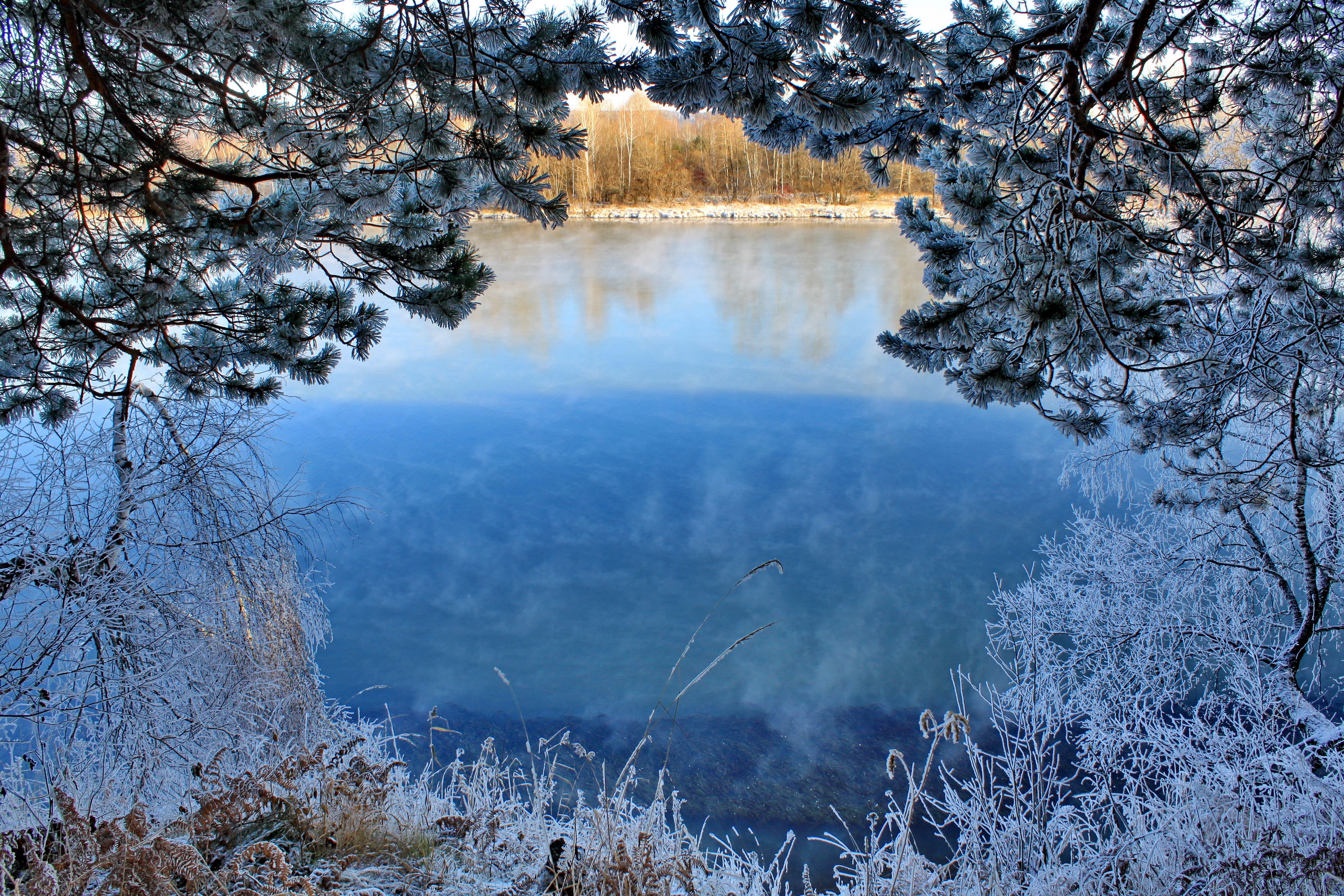 Winter scene with frosted trees and a misty river HD Wallpaper