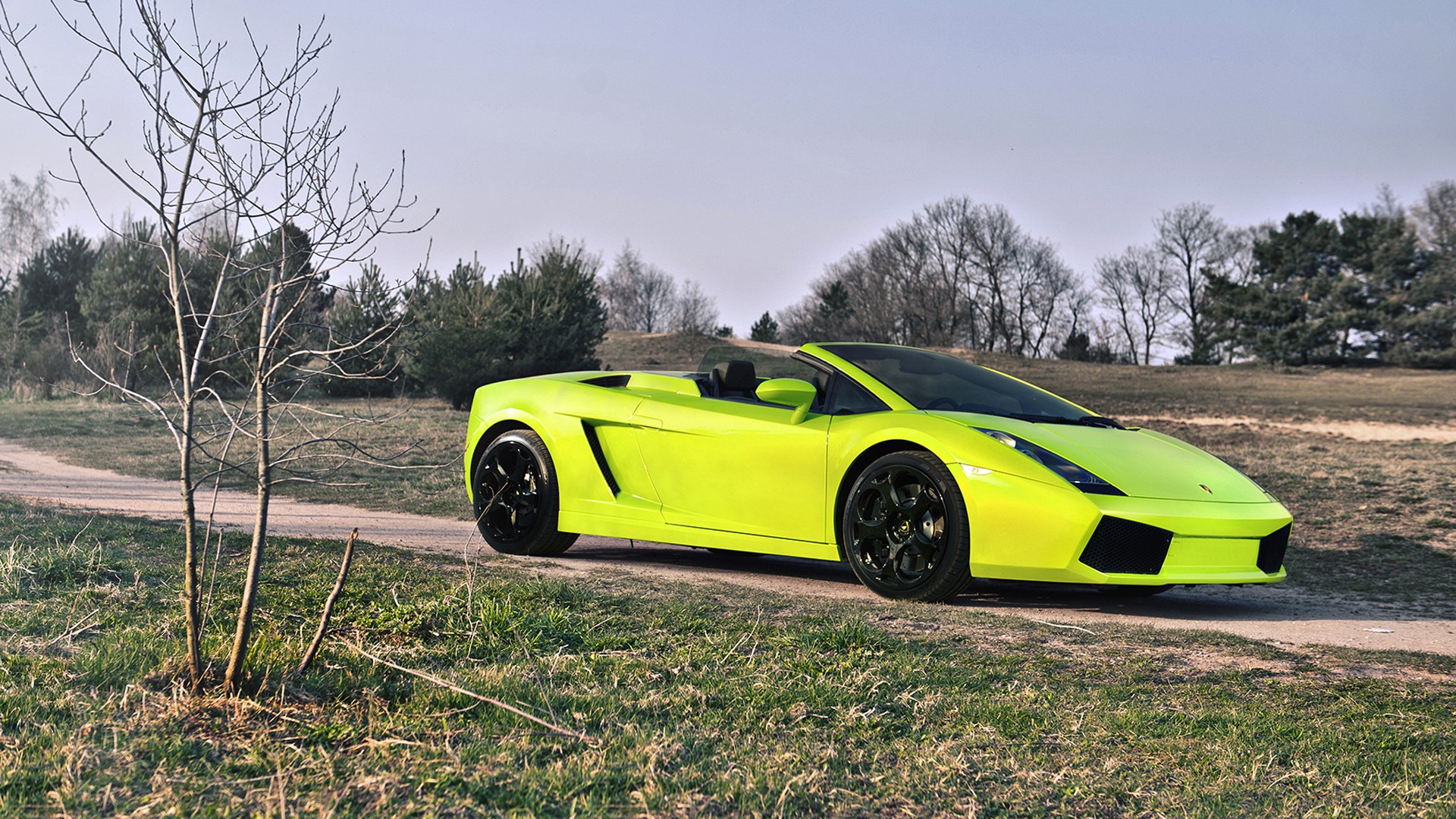 Yellow-green Lamborghini Gallardo Spyder convertible HD Wallpaper