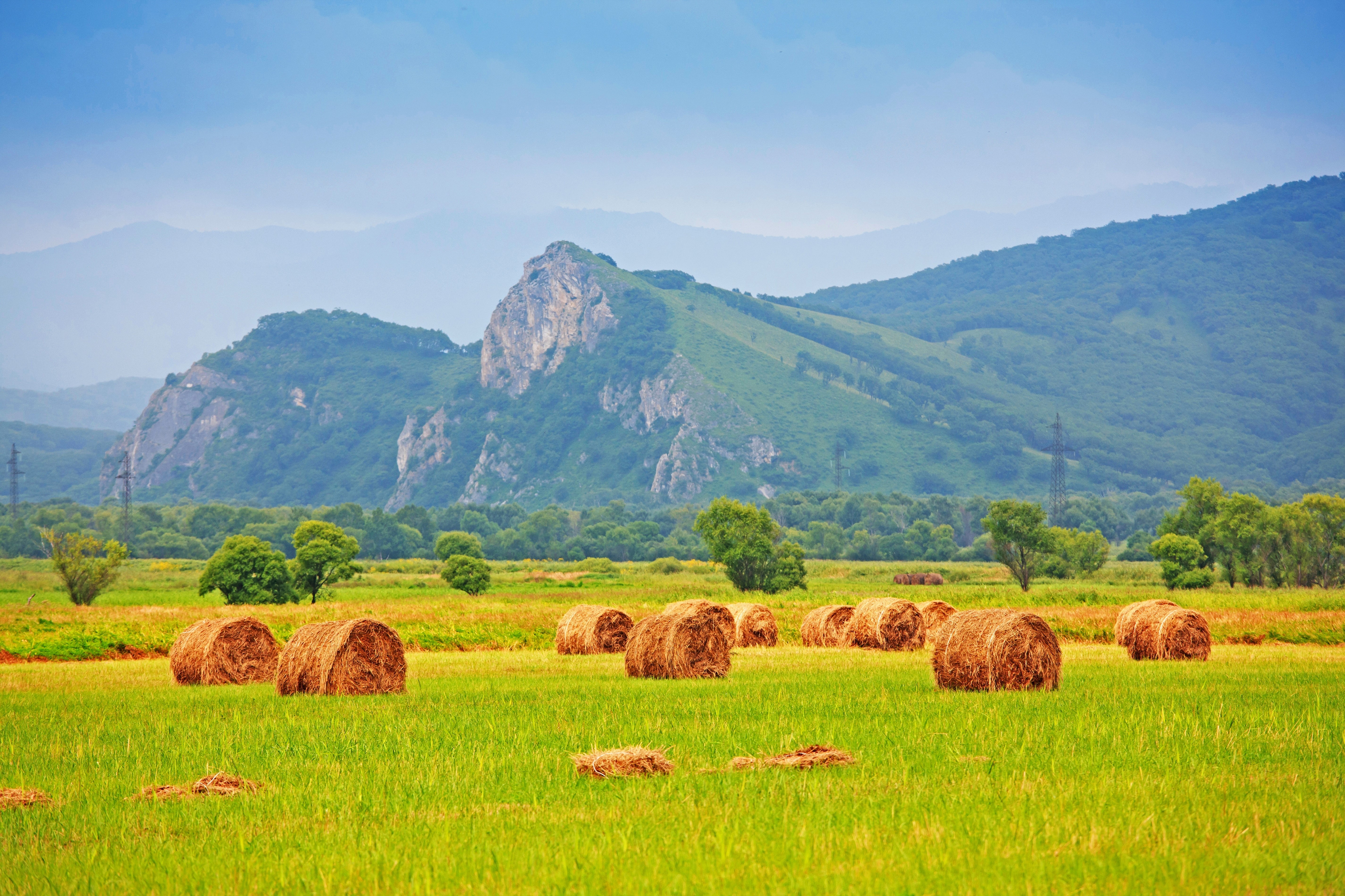 Hay bales in a field with mountains HD Wallpaper