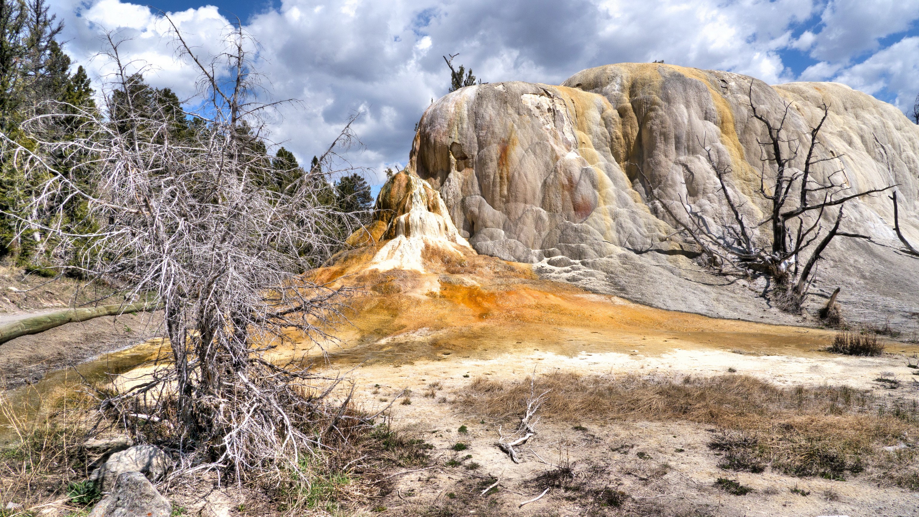 Yellowstone National Park, Wyoming, USA HD Wallpaper