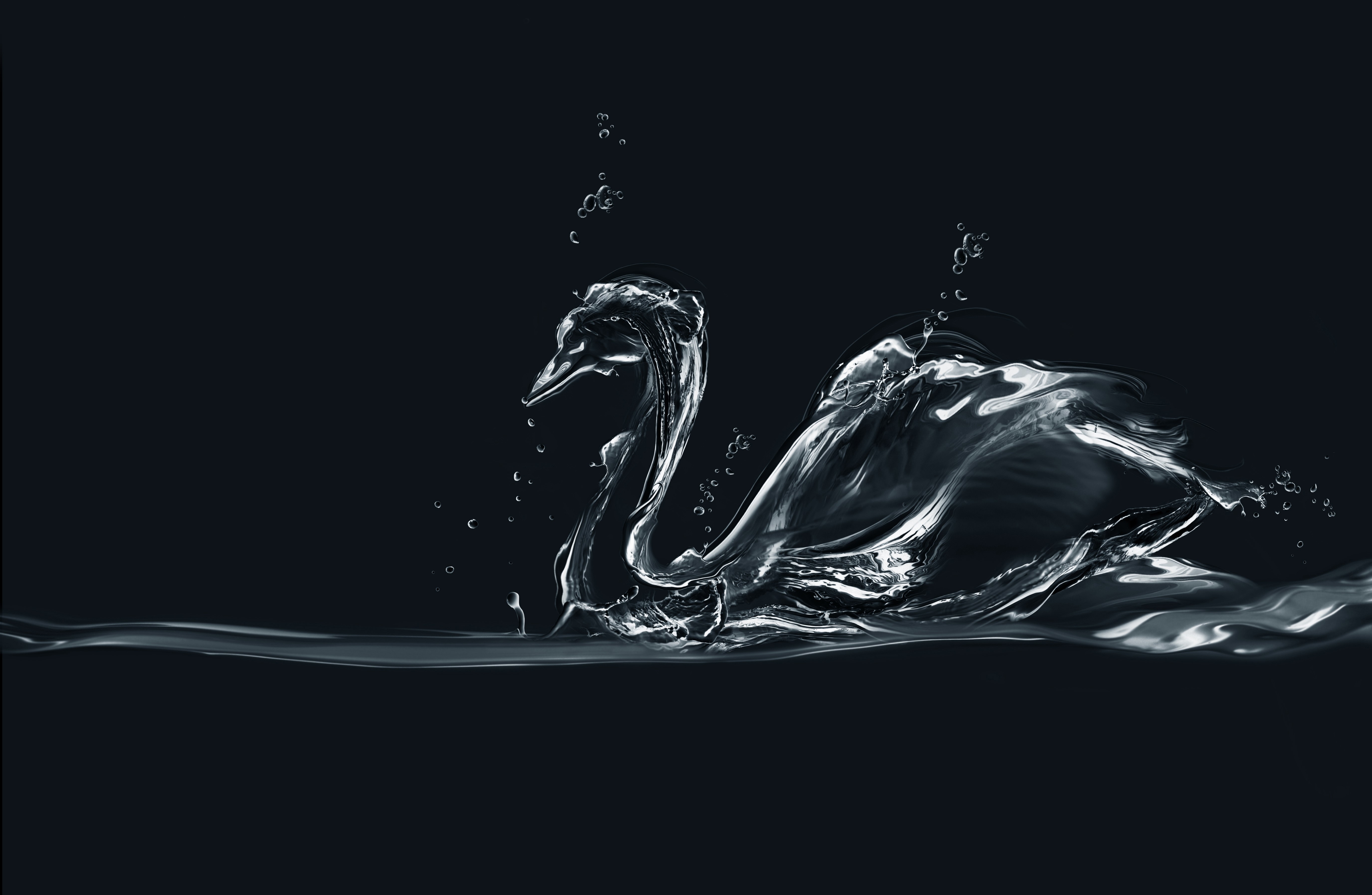 Swan made of water HD Wallpaper