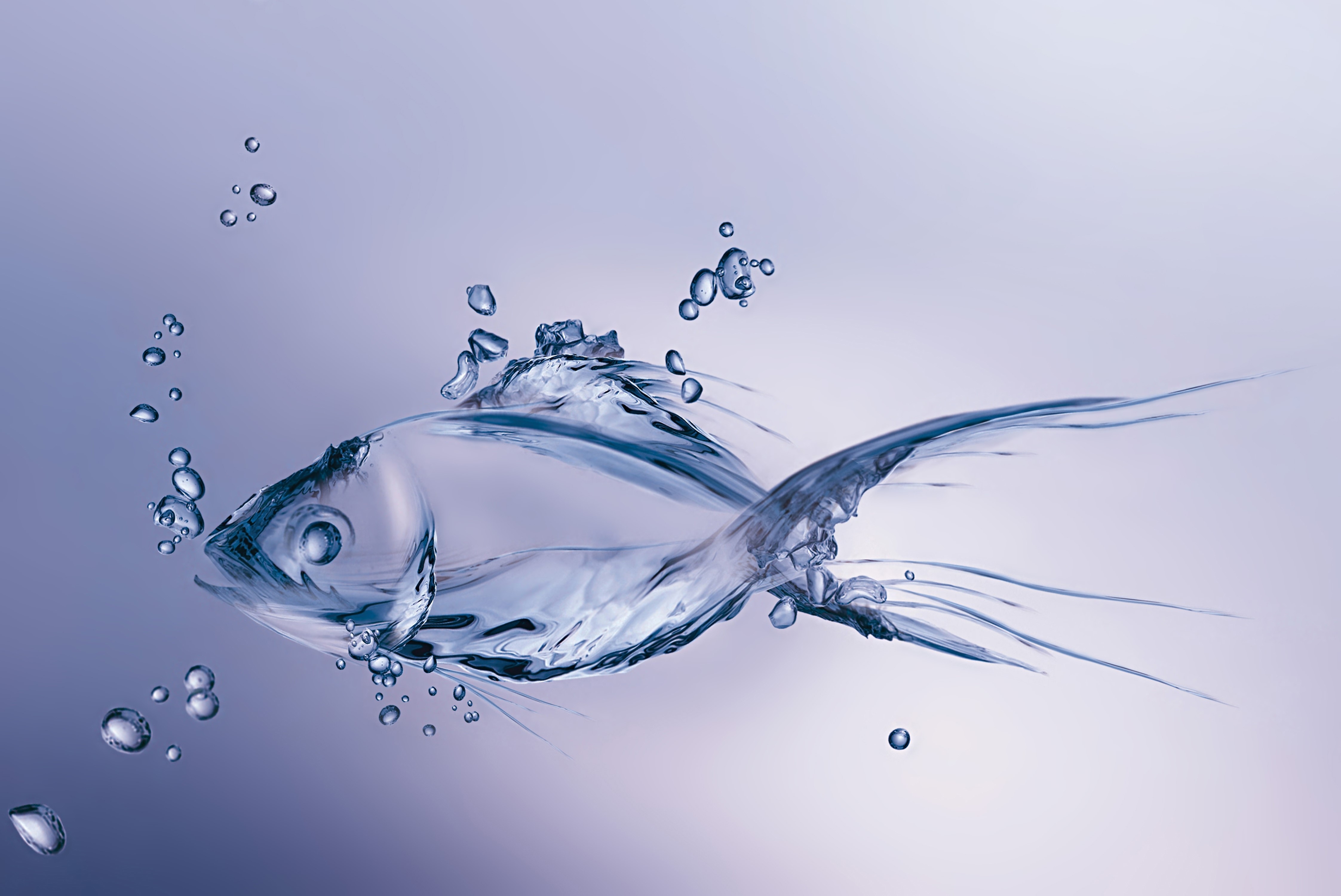 Fish made of water with bubbles HD Wallpaper