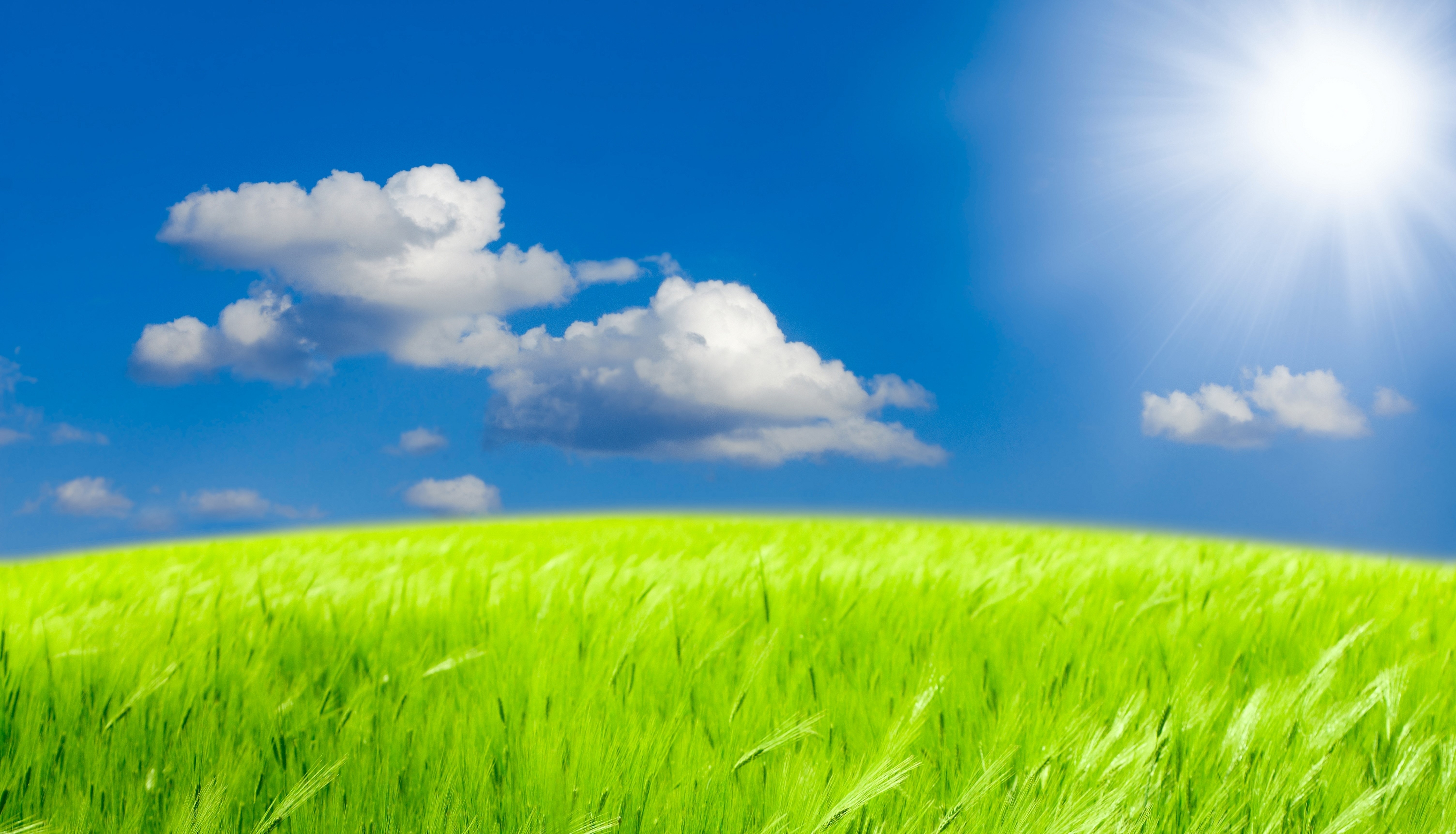 Green field under a blue sky with clouds and sun HD Wallpaper