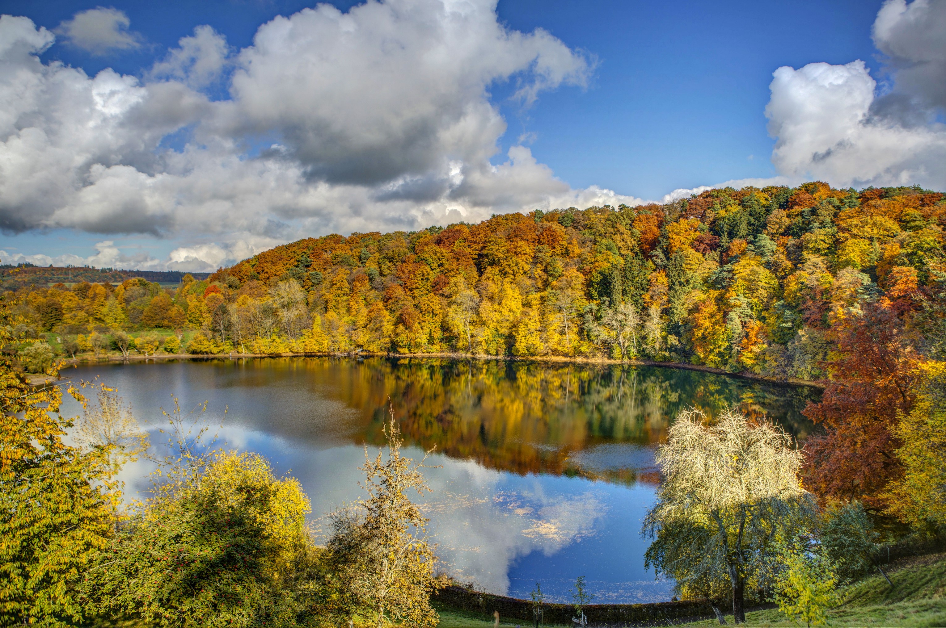 Lake and autumn forest in Ulmen, Germany HD Wallpaper