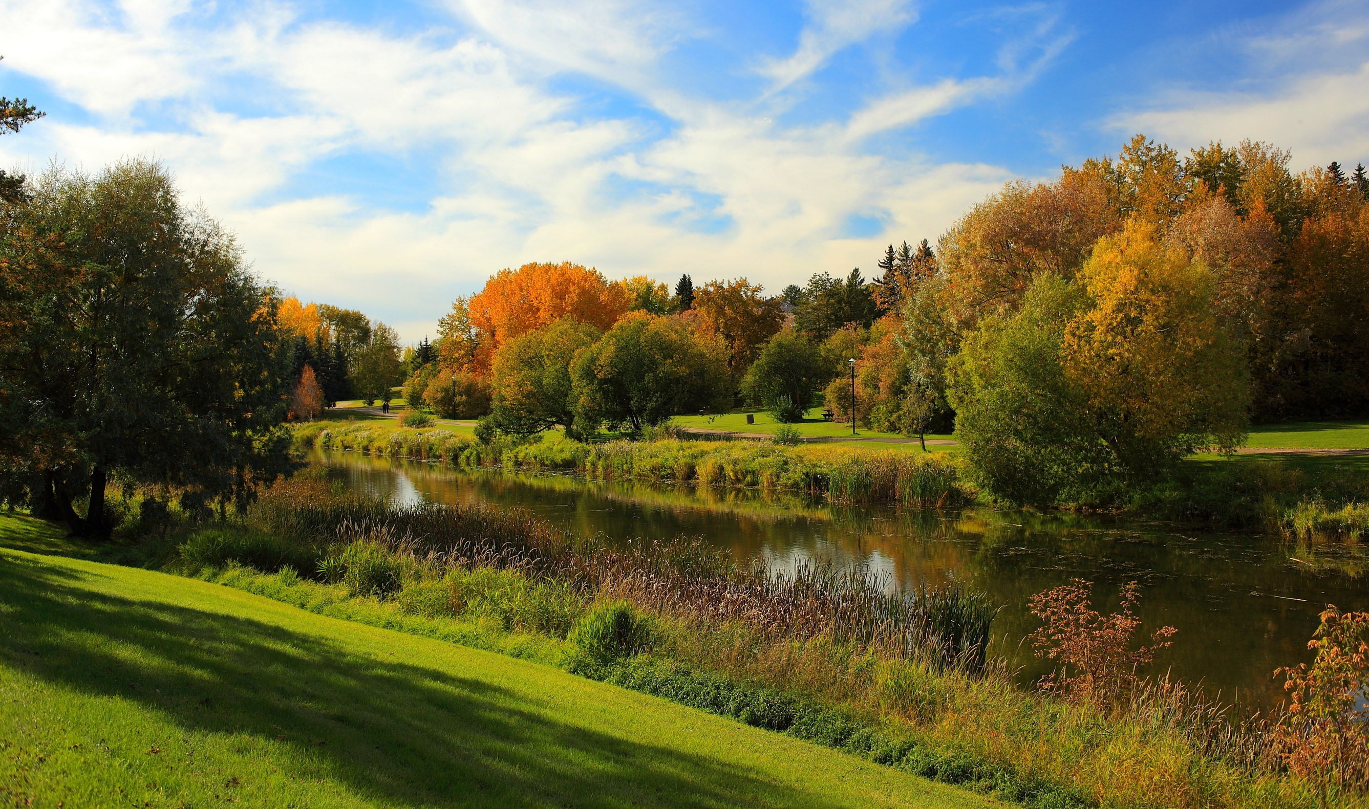 Autumn trees line a river in Alberta, Canada HD Wallpaper