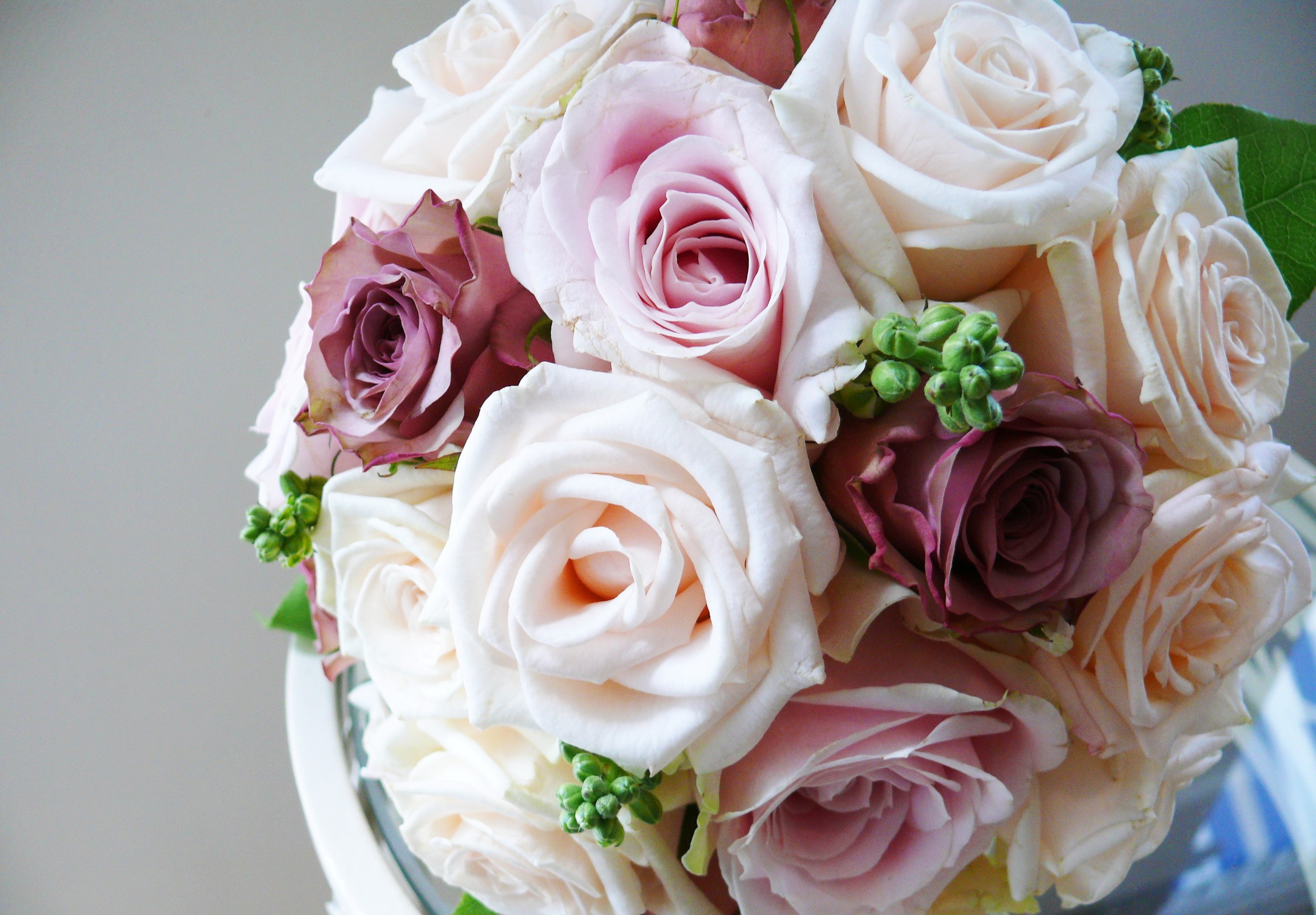 Bouquet of Roses in Various Shades HD Wallpaper