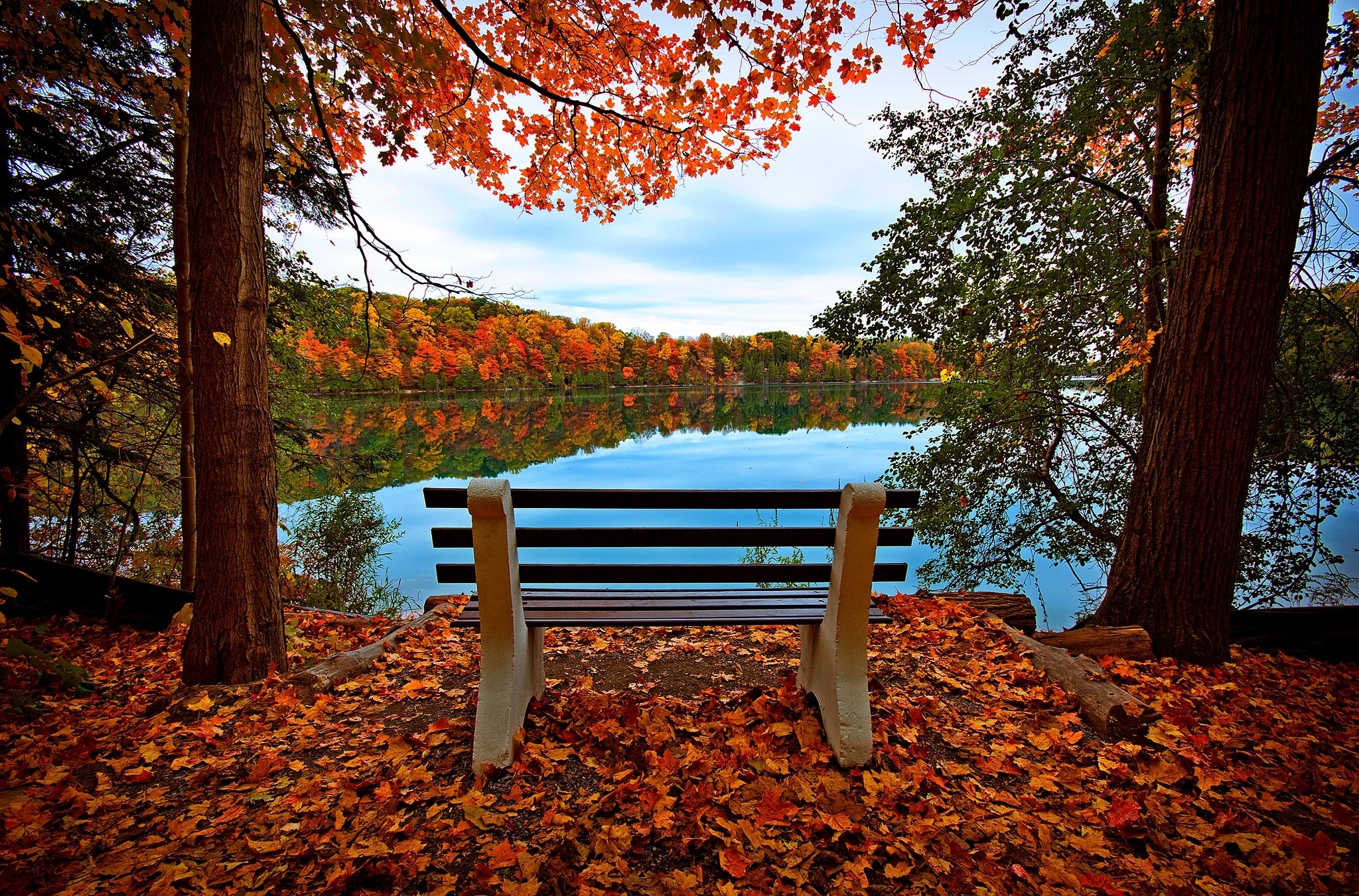 Bench overlooking a lake during autumn HD Wallpaper