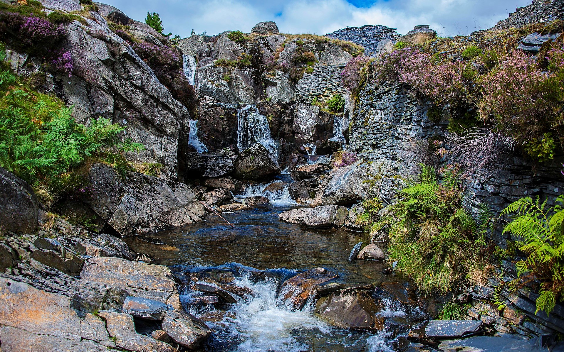 Rocky mountain stream with waterfalls and heather HD Wallpaper