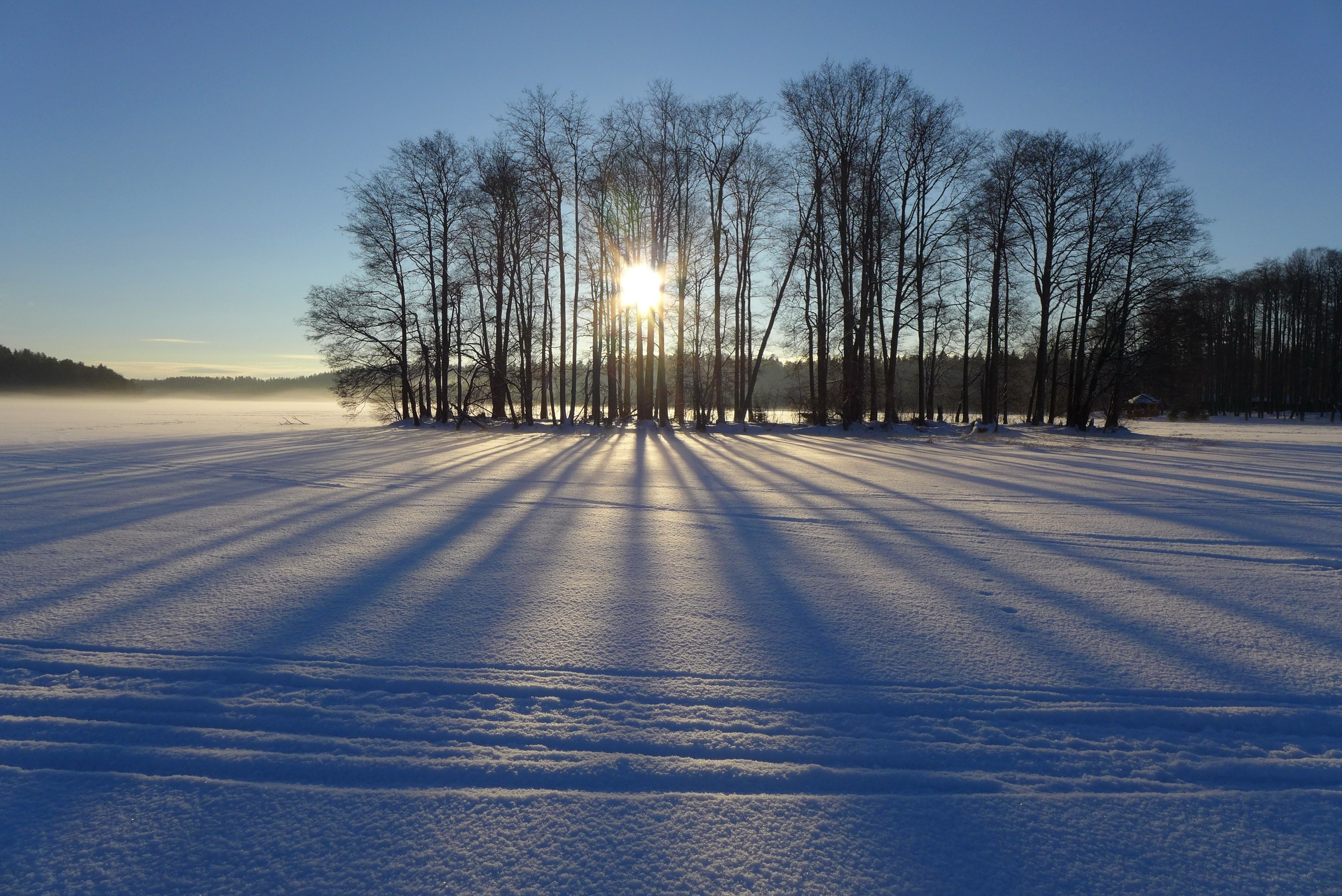 Winter landscape with sunbeams through trees HD Wallpaper