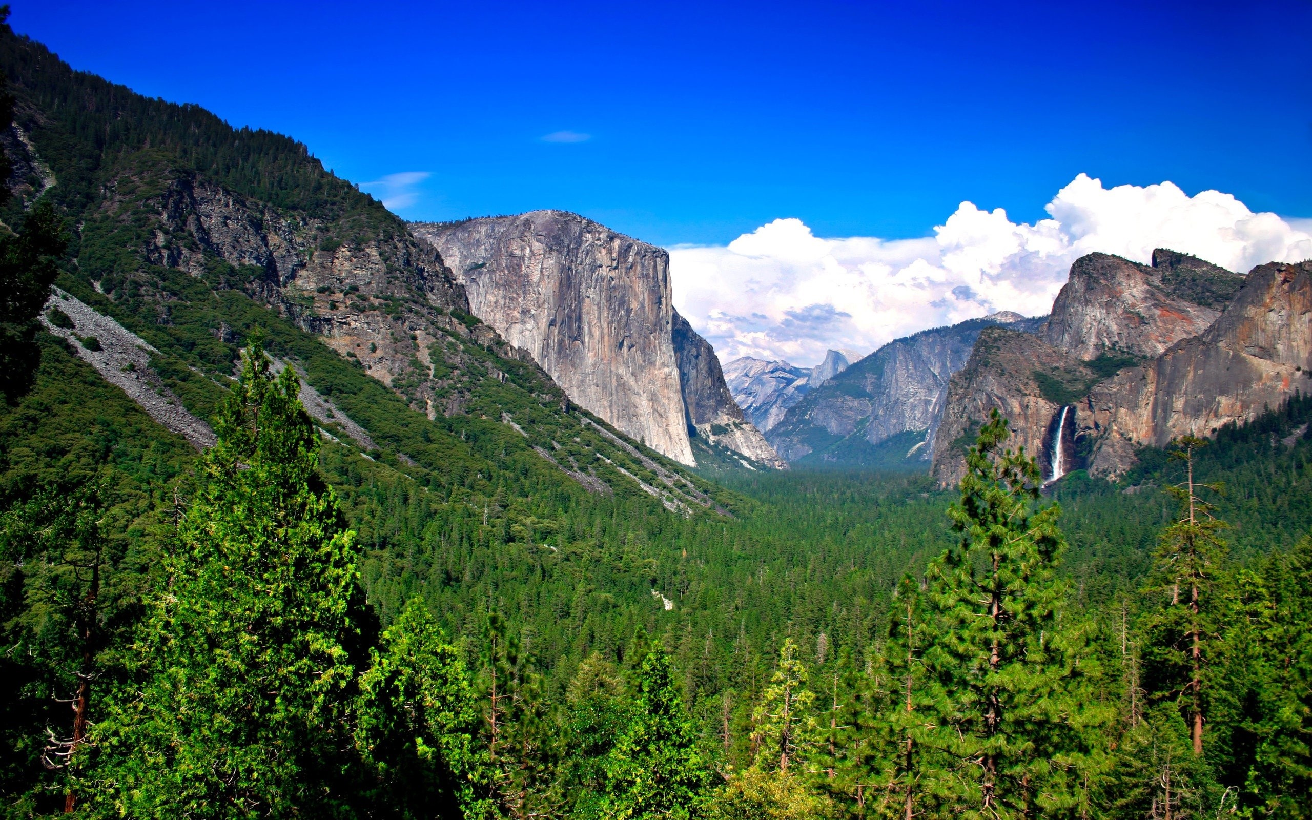 Yosemite Valley with El Capitan and Bridalveil Fall HD Wallpaper