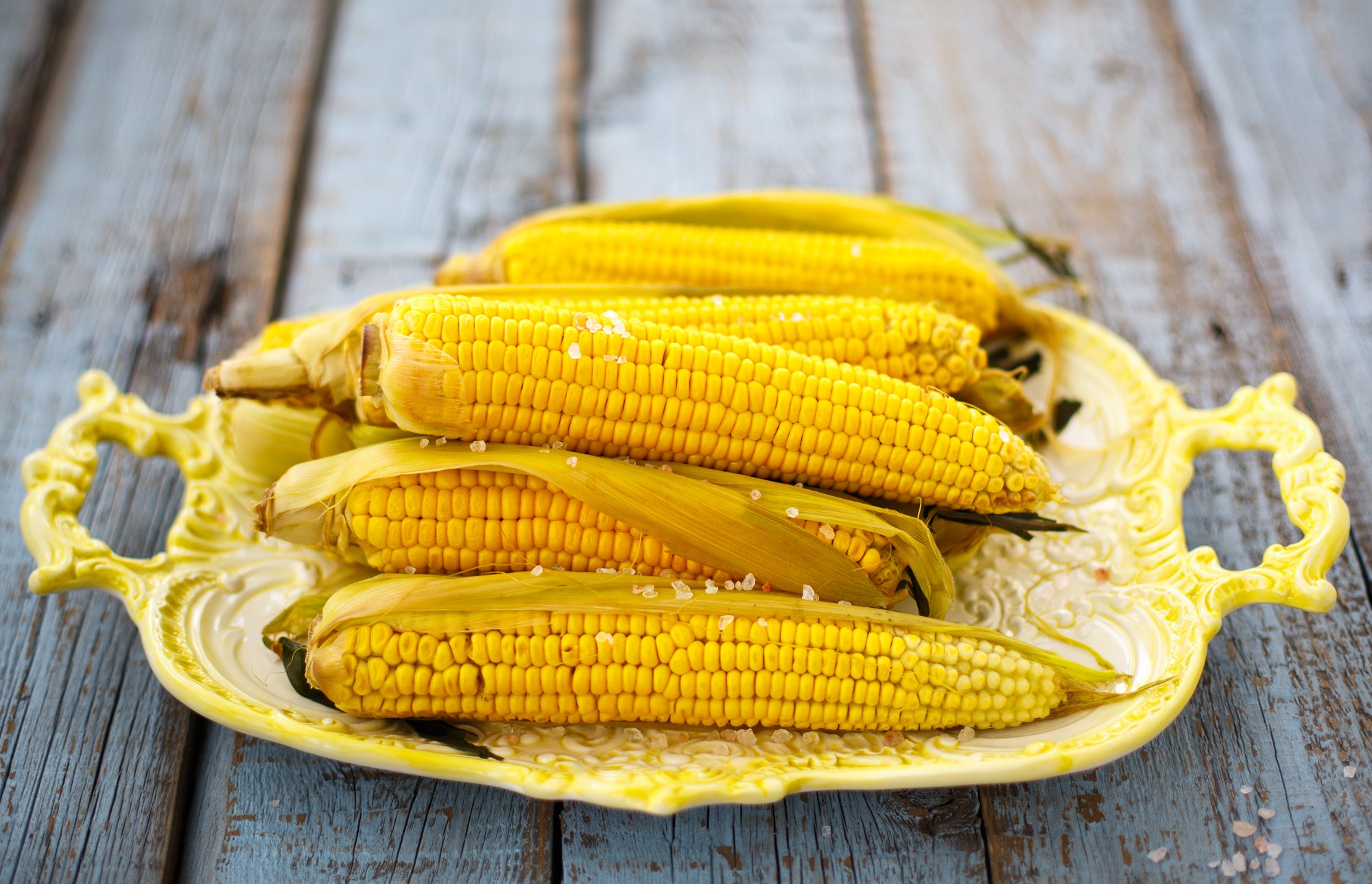 Corn on a decorative yellow platter HD Wallpaper