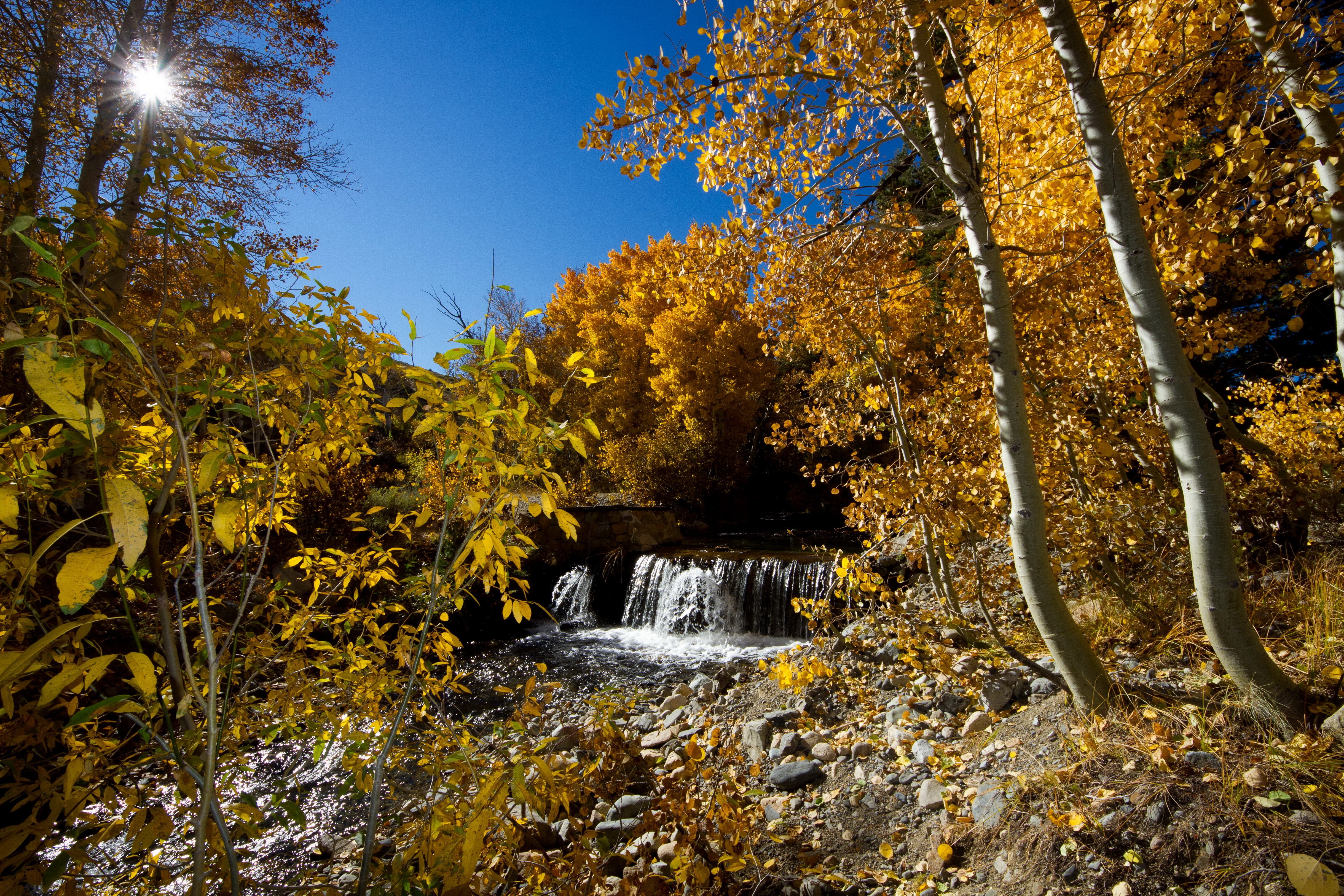 Autumn Waterfall with Aspen Trees HD Wallpaper