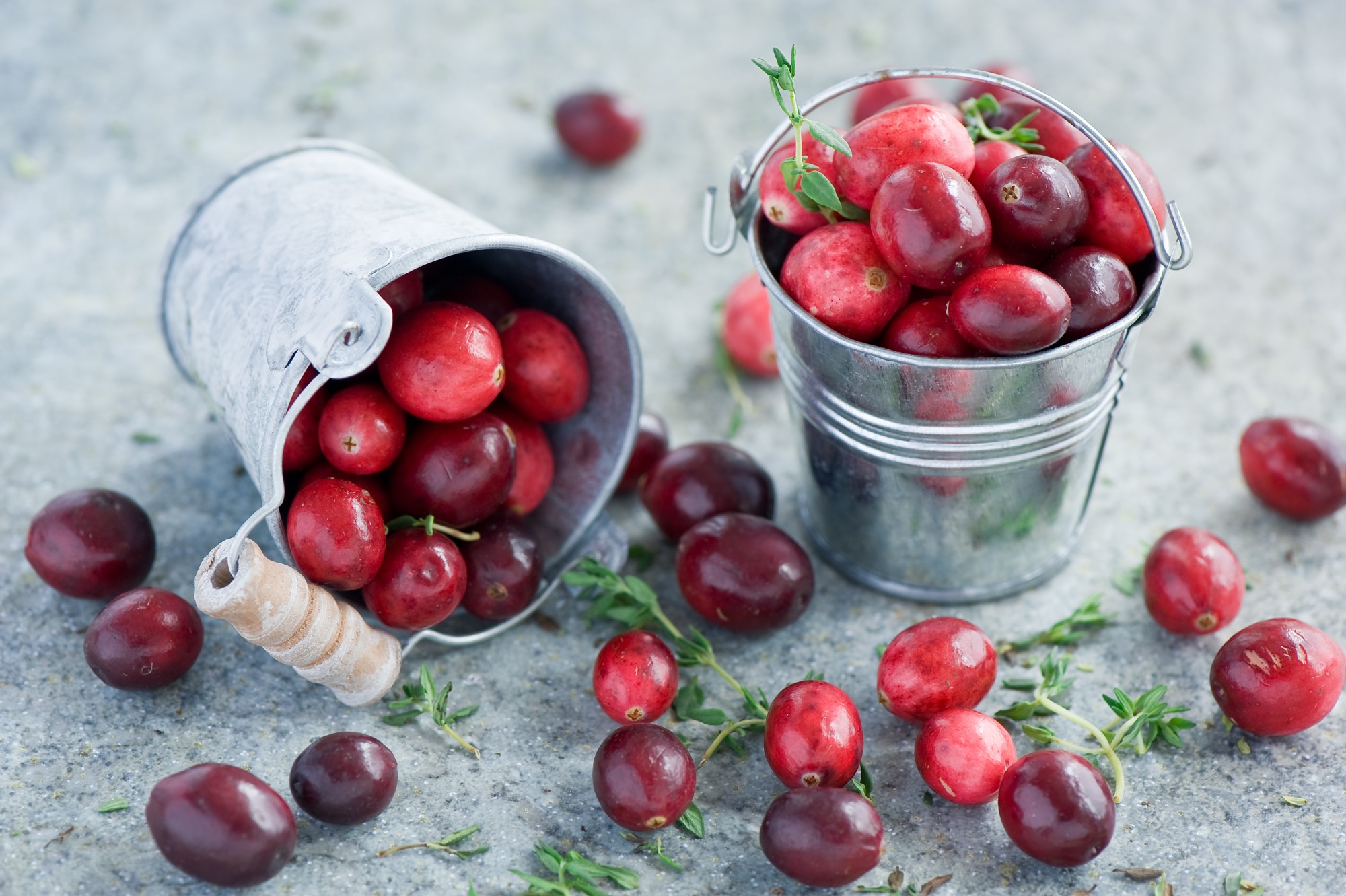 Cranberries in small buckets with thyme HD Wallpaper