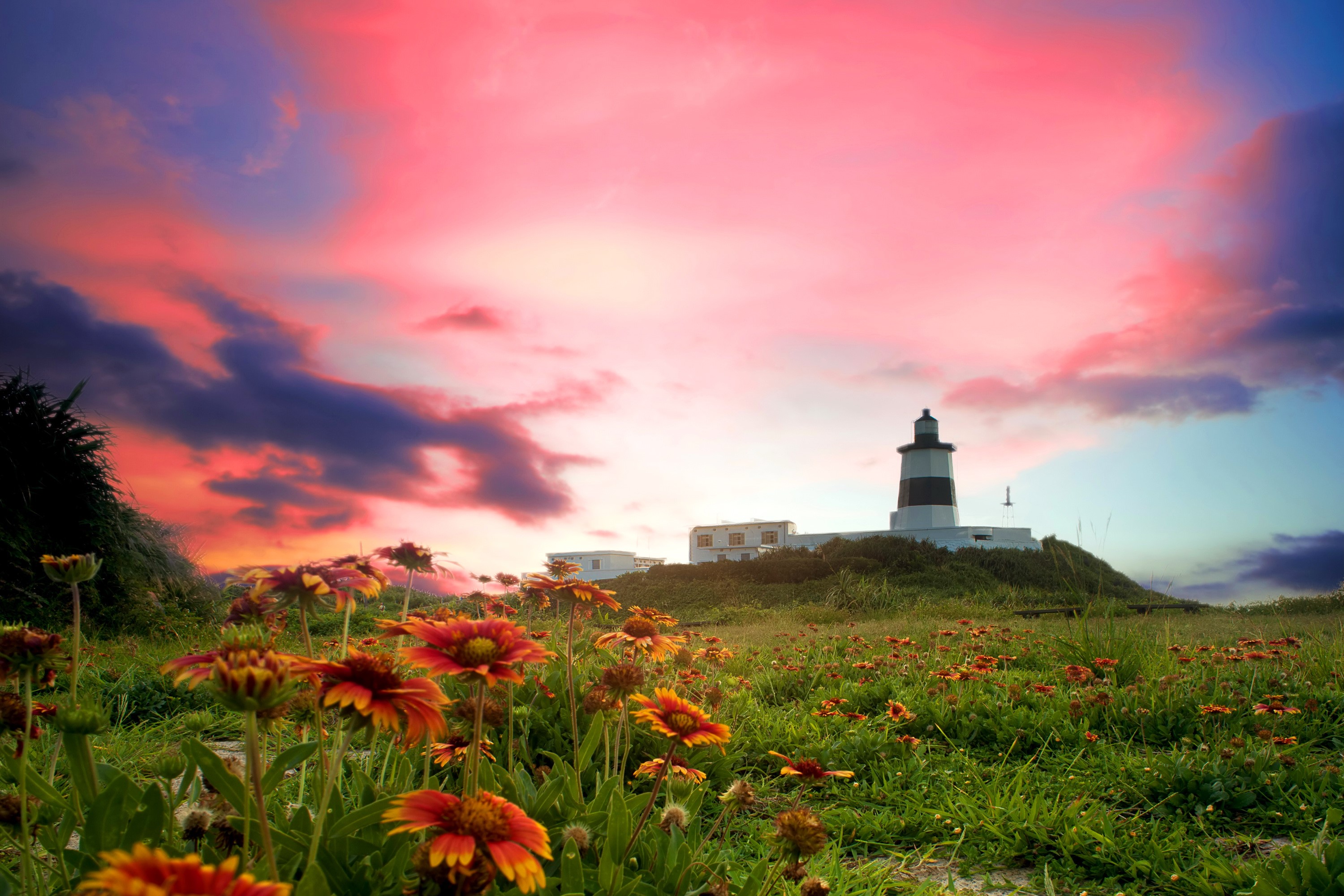 Lighthouse on a hill with flowers at sunset HD Wallpaper