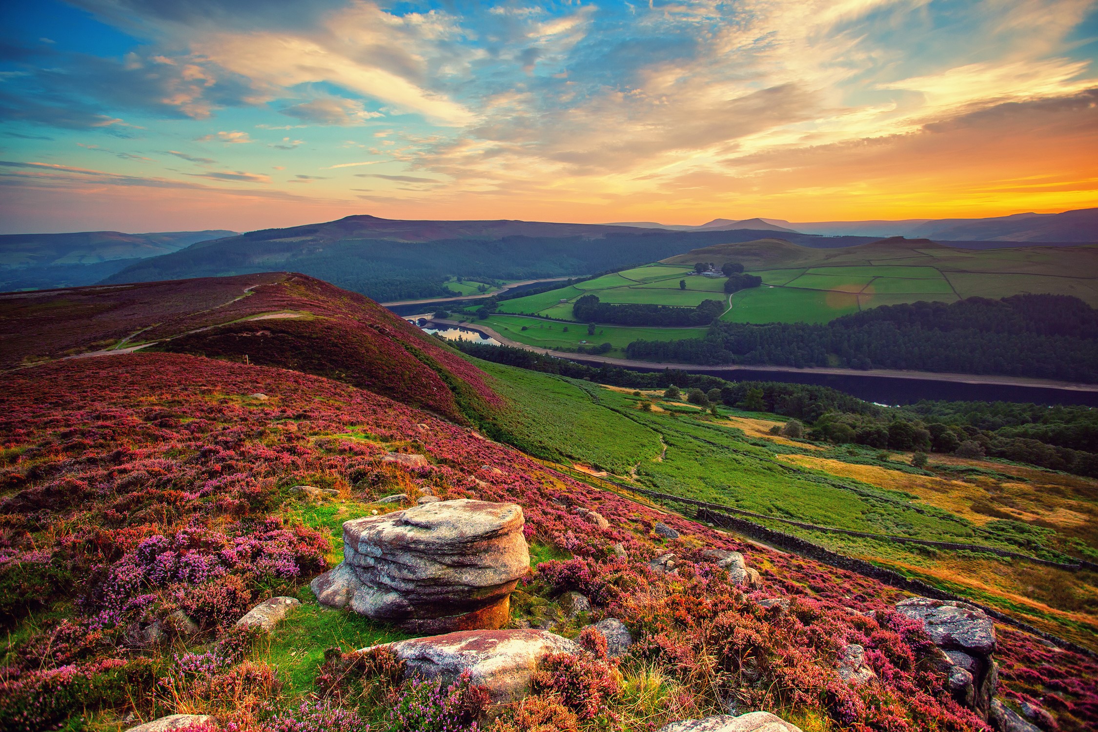 Rolling hills with heather and fields at sunset HD Wallpaper