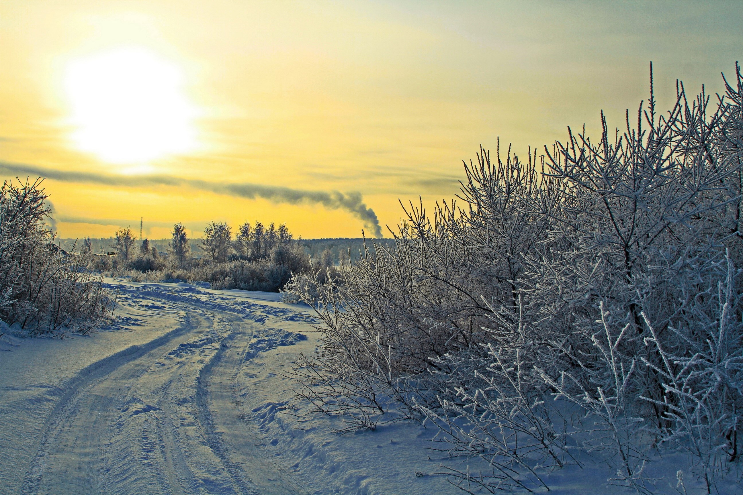 Winter landscape with snow-covered trees and a road HD Wallpaper