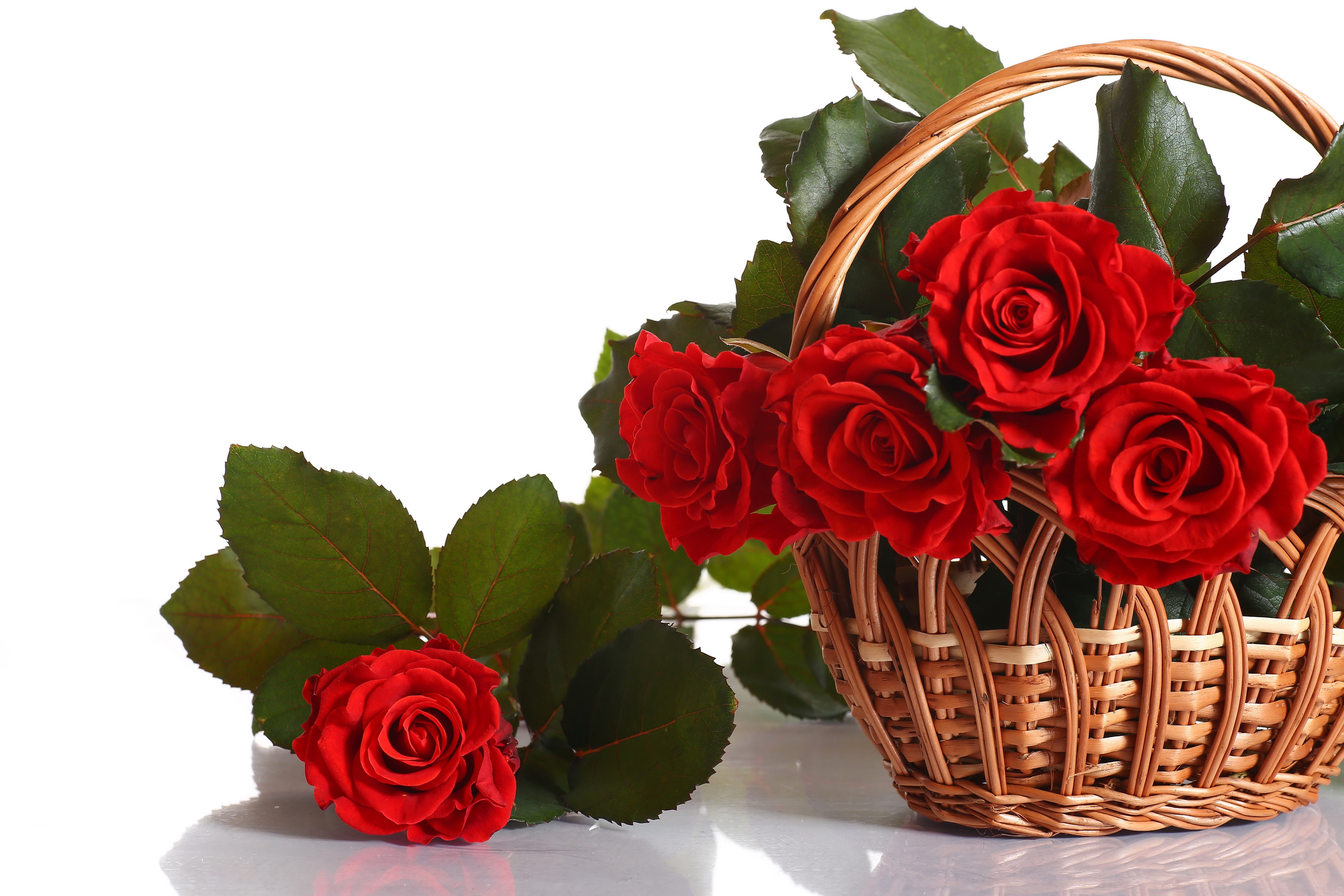Red Roses in a Wicker Basket HD Wallpaper
