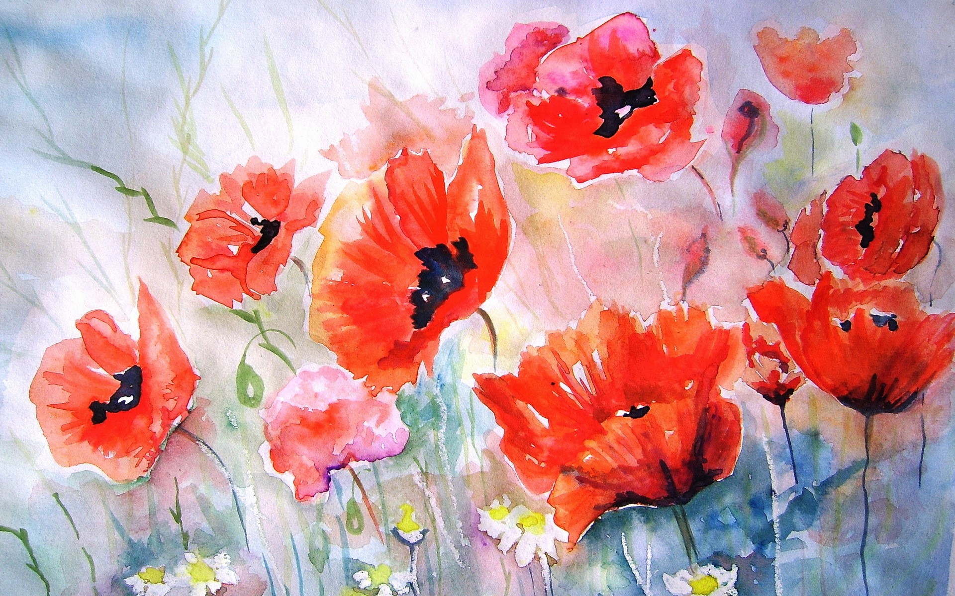 Watercolor painting of red poppies HD Wallpaper