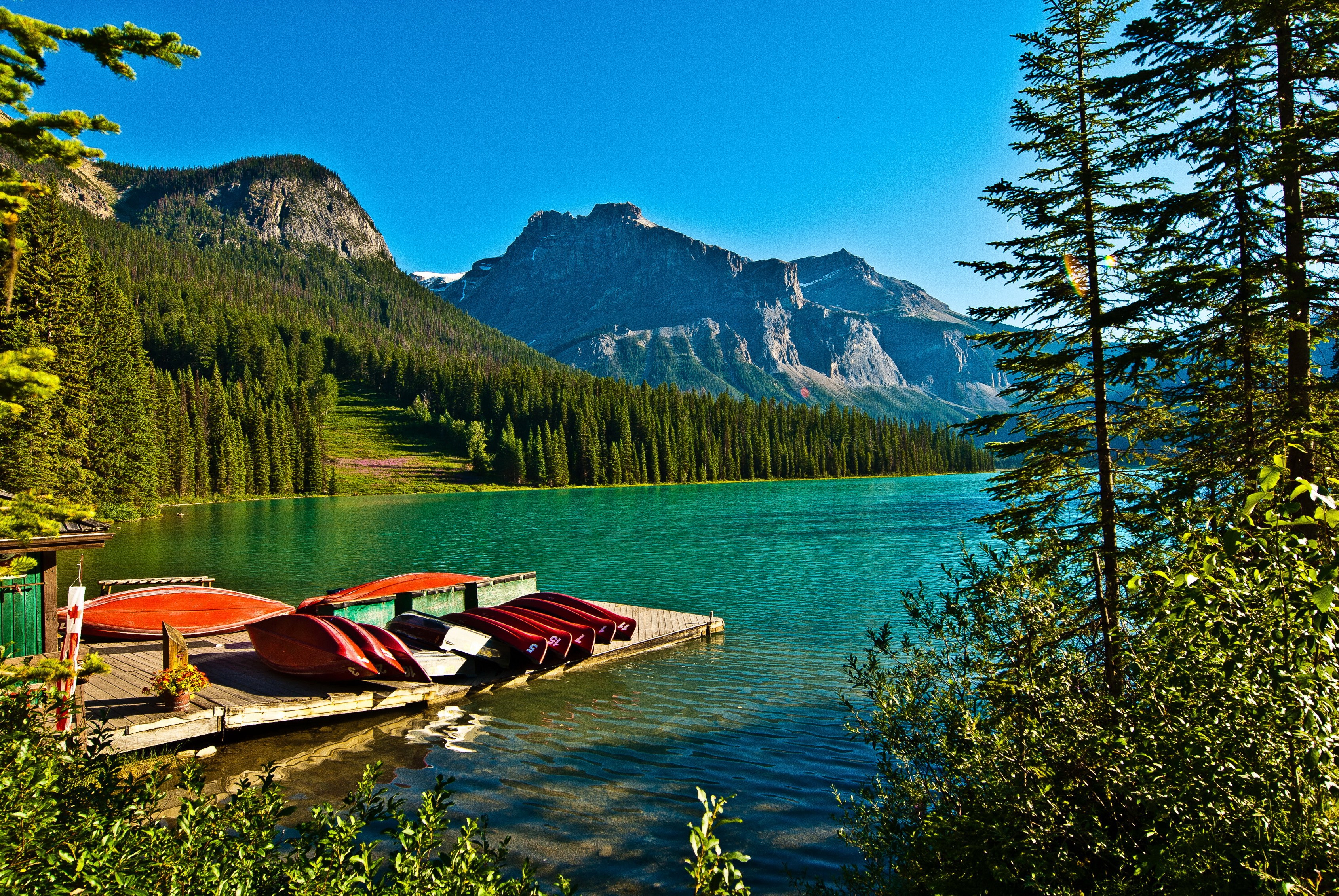 Emerald Lake Yoho National Park Canada Canoes Dock Mountains HD Wallpaper