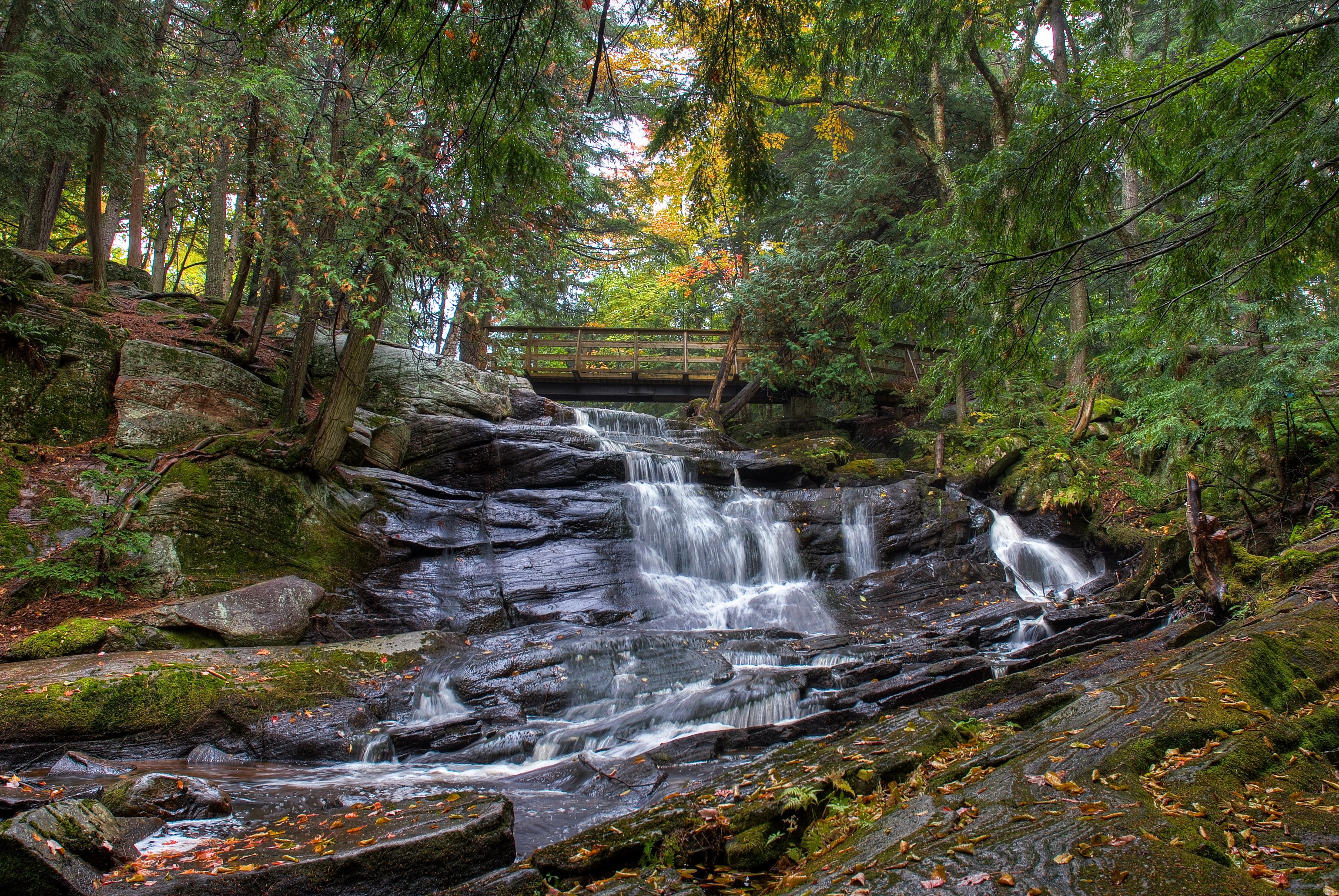 Waterfall with a wooden bridge in a forest in Ontario, Canada HD Wallpaper