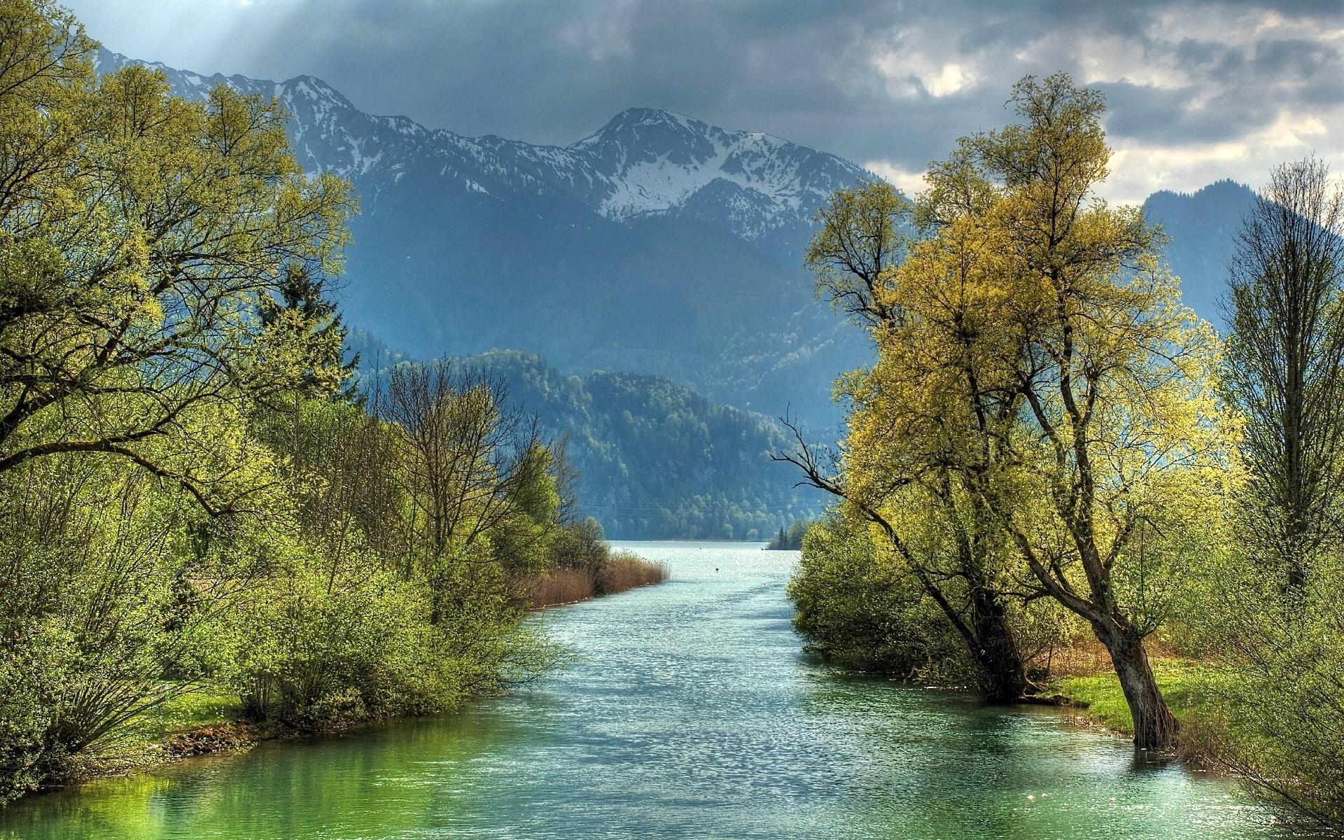 River flowing through a forest towards snow-capped mountains HD Wallpaper