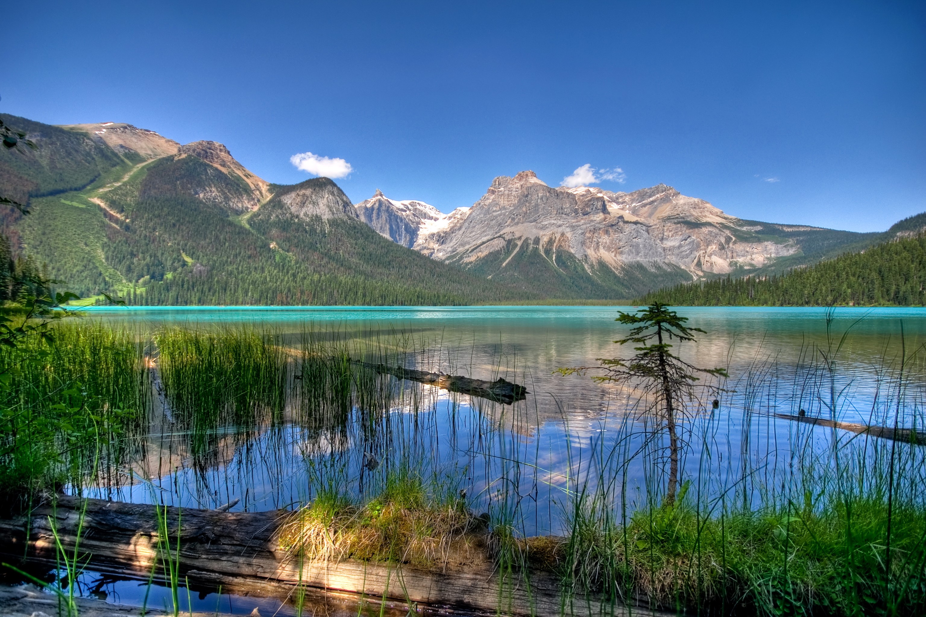 Emerald Lake in Yoho National Park, Canada HD Wallpaper