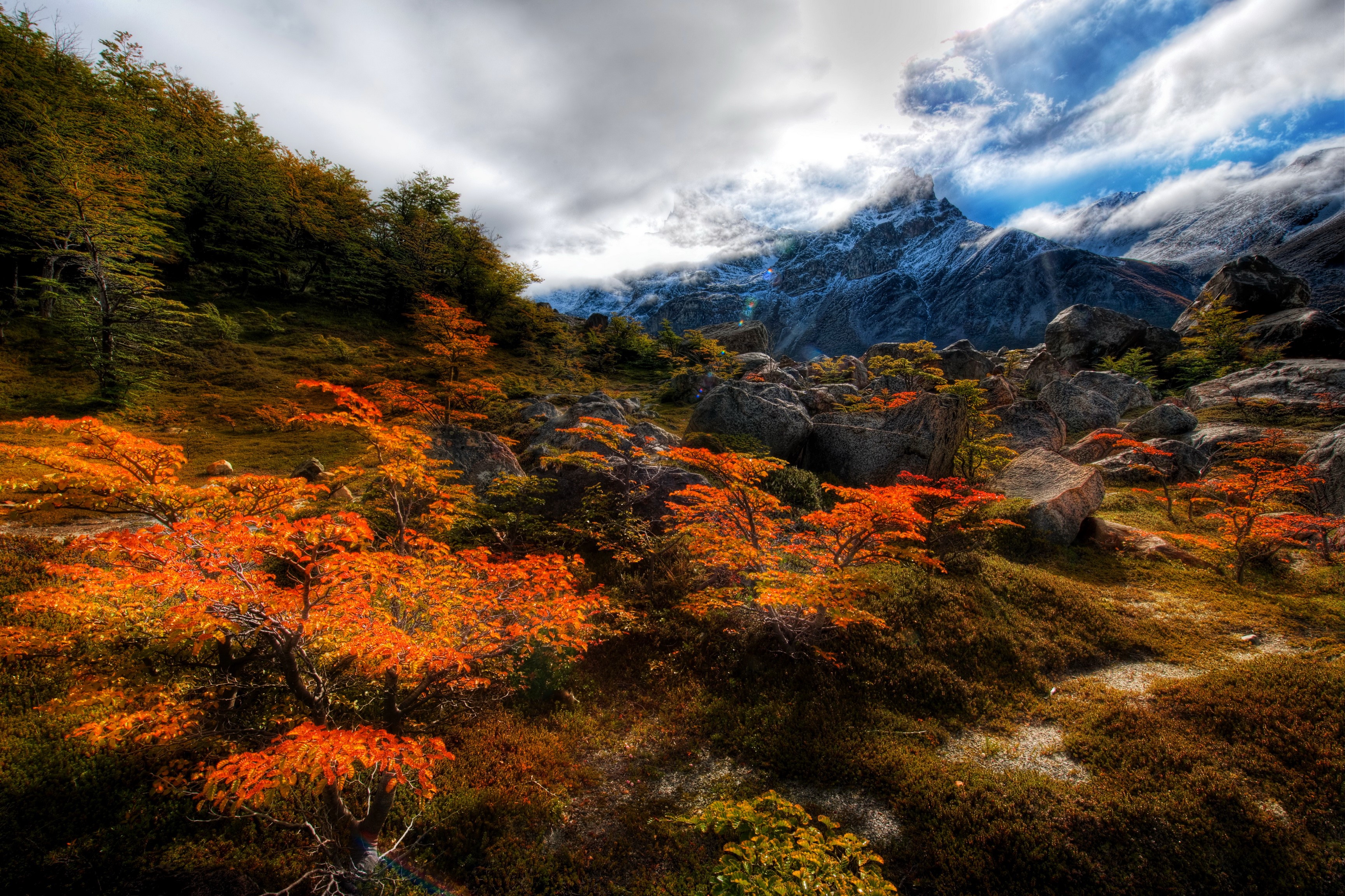 Autumn trees and rocky mountains in Patagonia, Chile HD Wallpaper