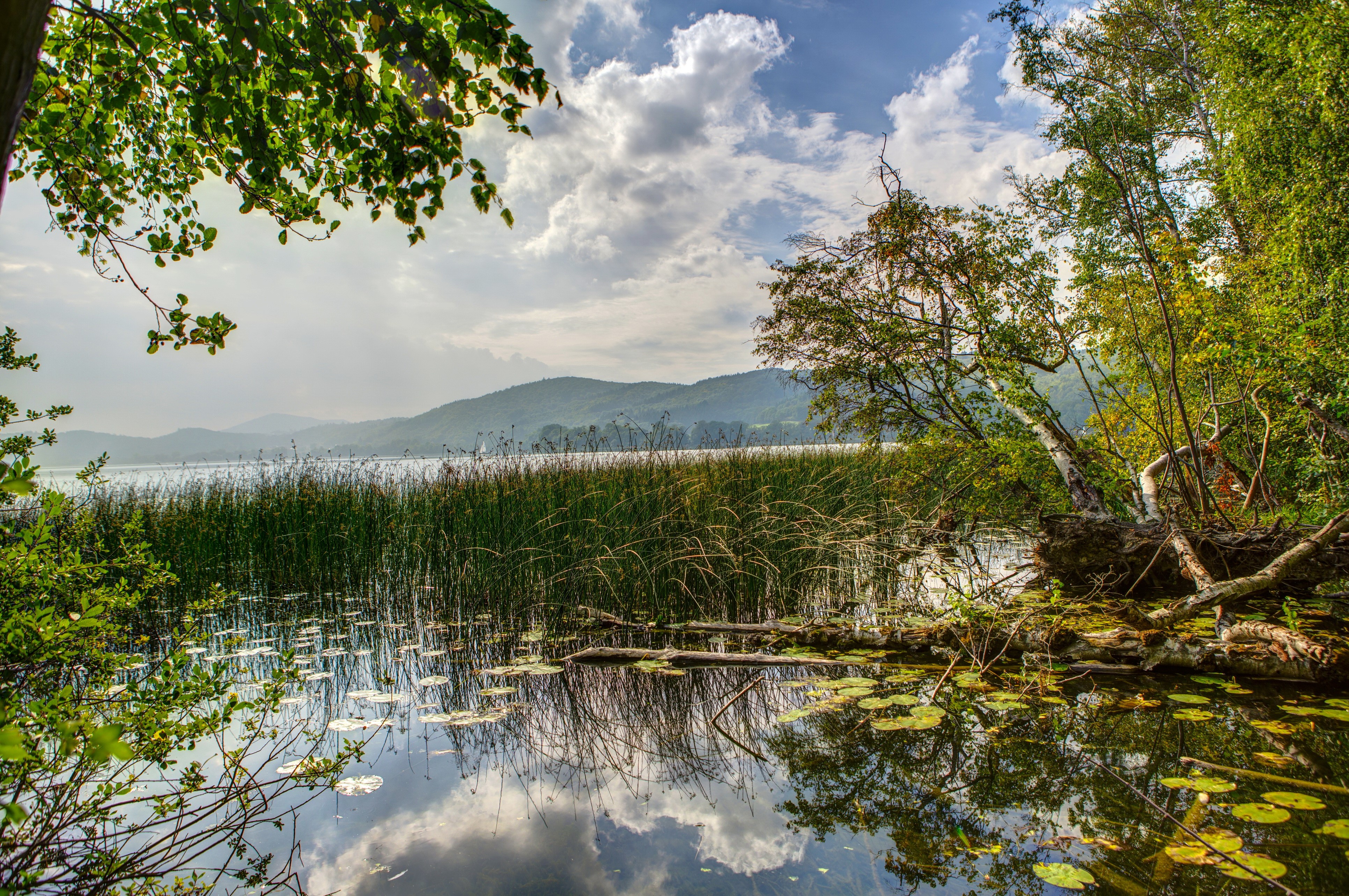 Lake with reeds and hills in Nickenich, Germany HD Wallpaper