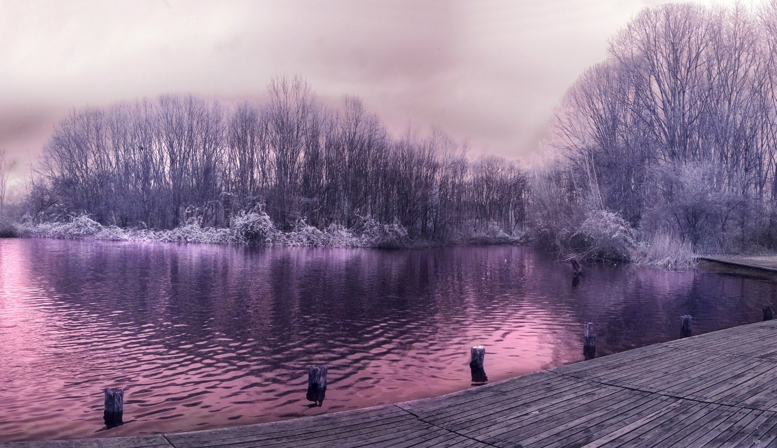 Winter lake with bare trees and wooden pier HD Wallpaper