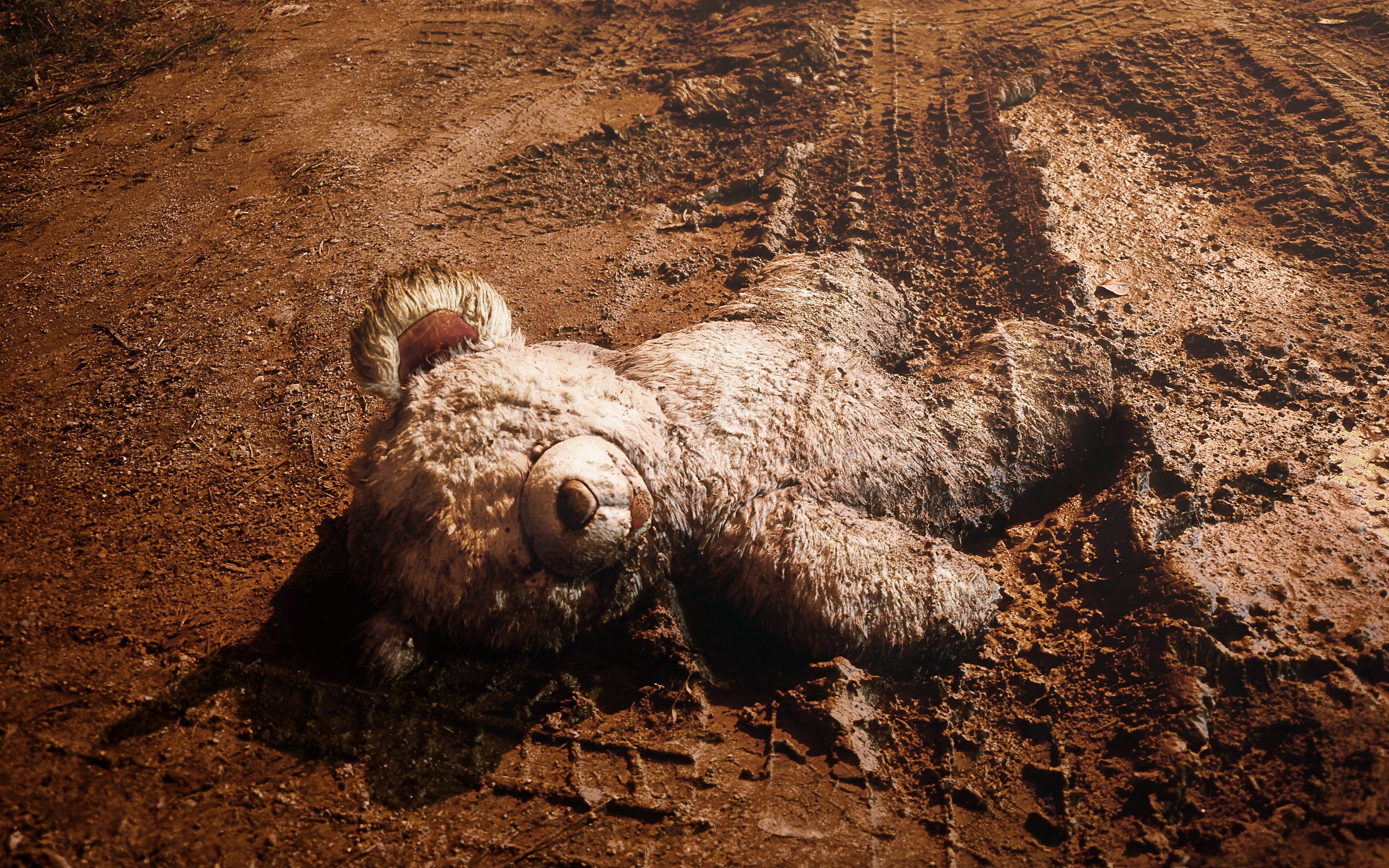 A dirty teddy bear lying in mud HD Wallpaper