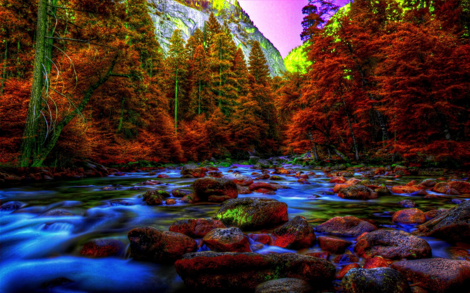 River flowing through Yosemite National Park with autumn trees HD Wallpaper