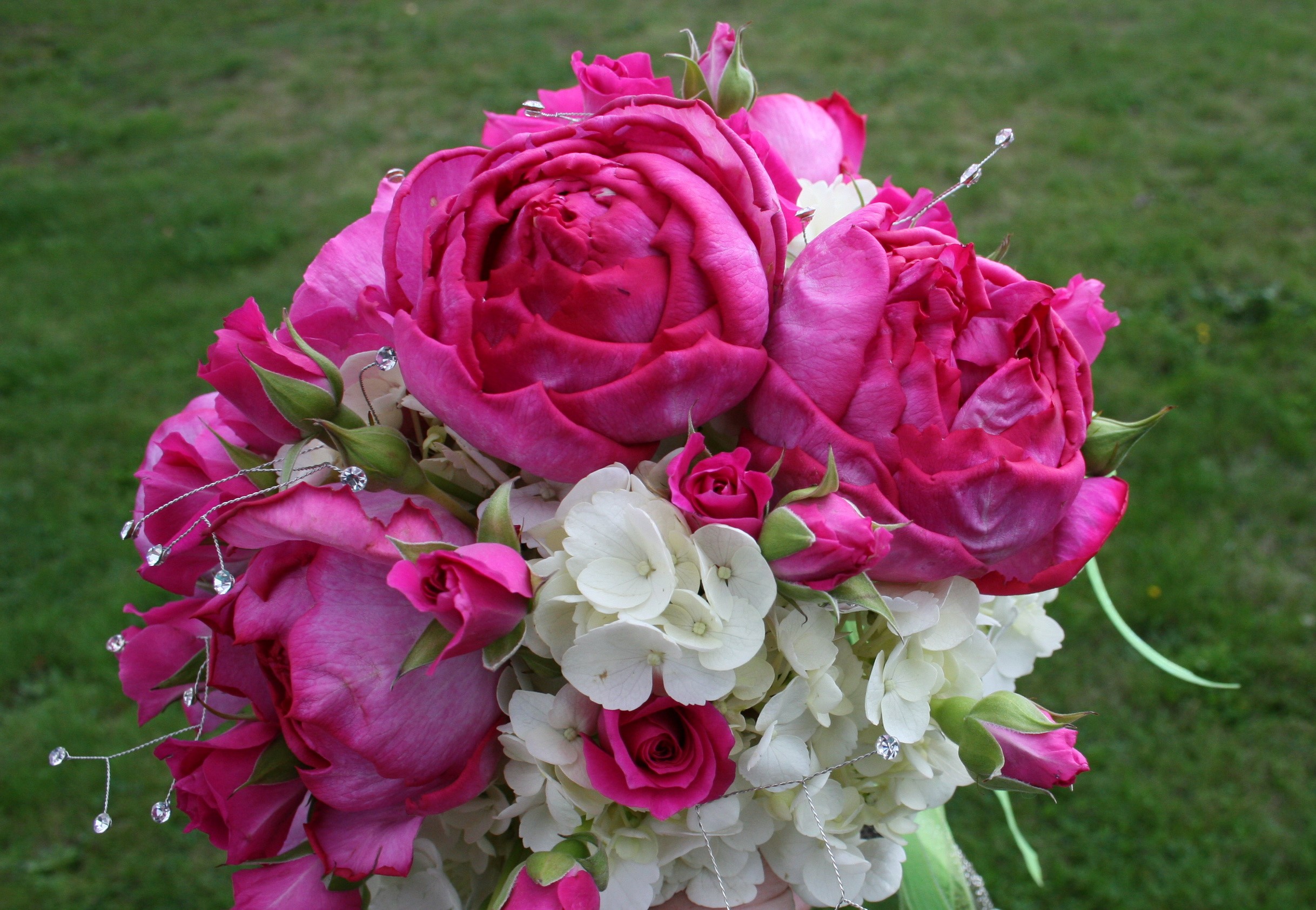 Pink roses and white hydrangea bouquet with crystals HD Wallpaper