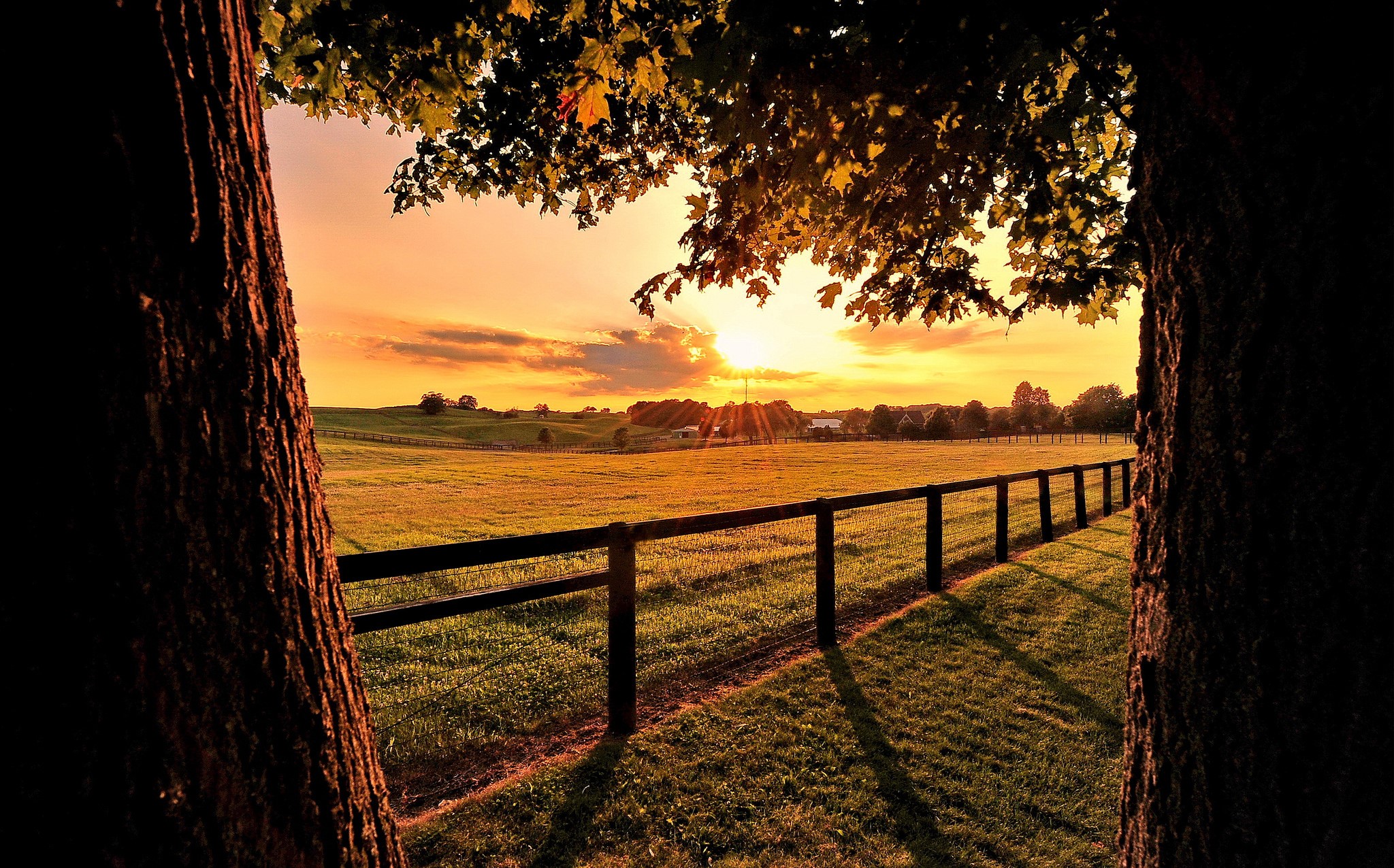 Sunset over a fenced field with trees HD Wallpaper