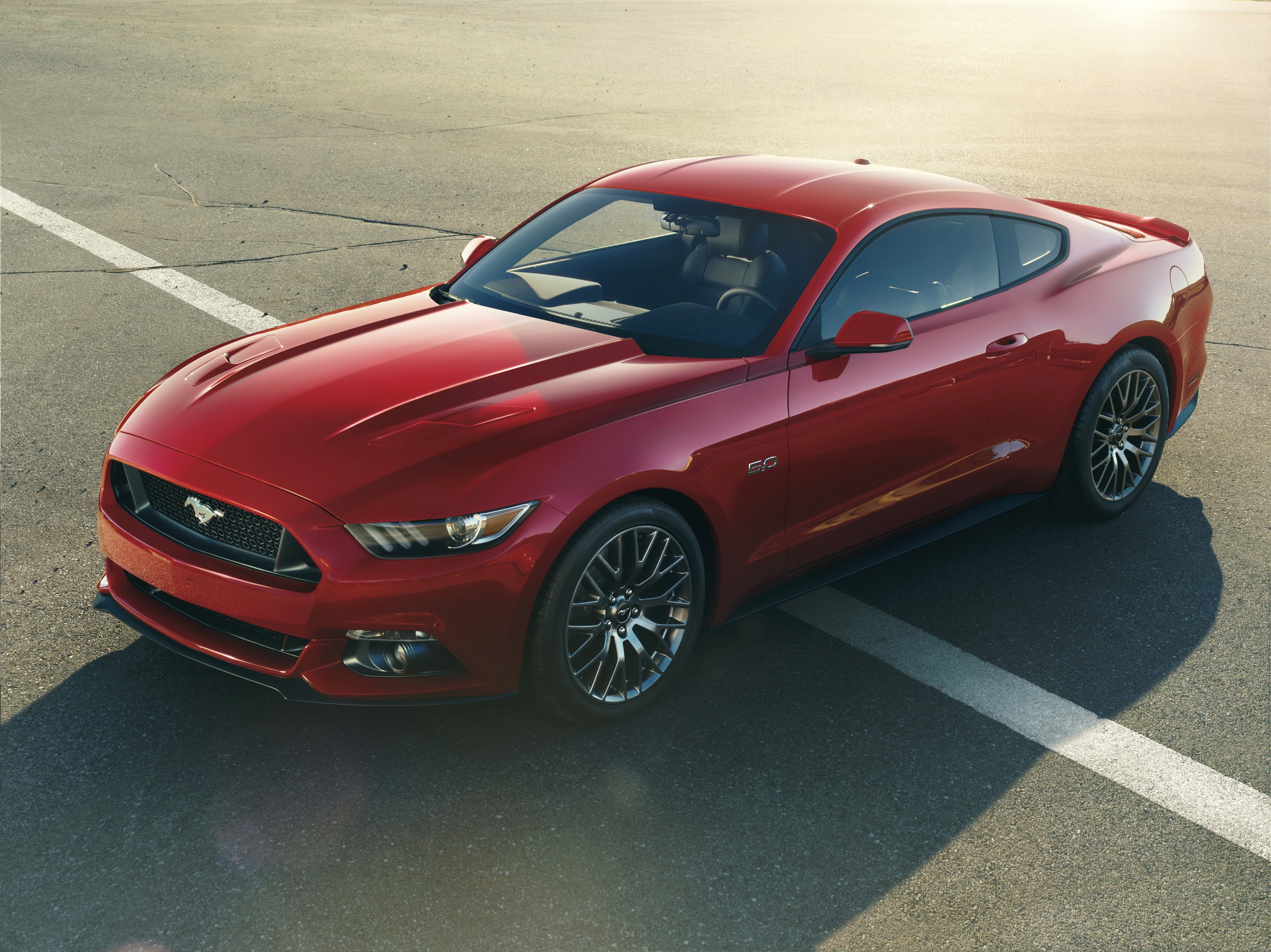 Red Ford Mustang GT Coupe on Asphalt HD Wallpaper