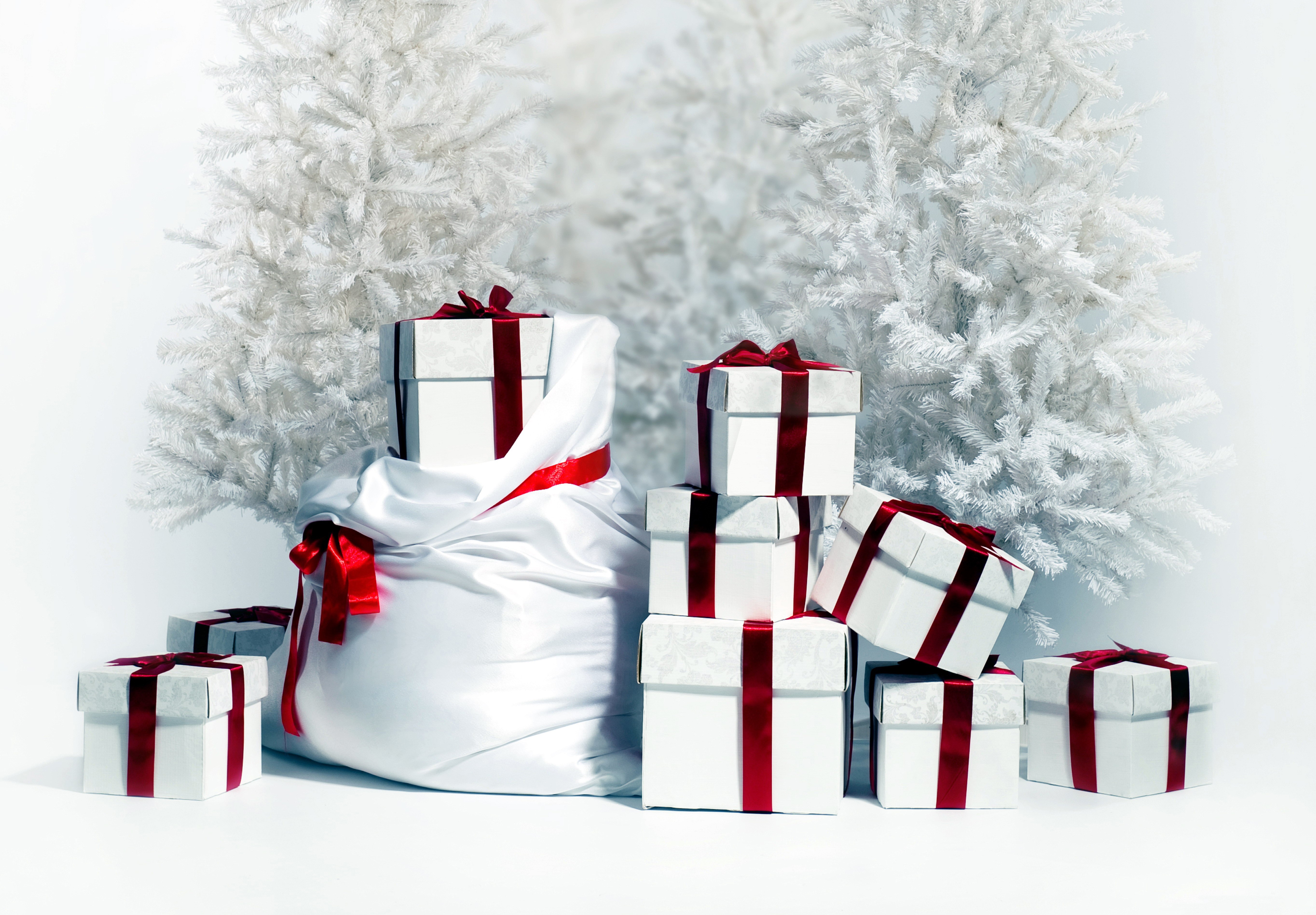 Christmas gifts in front of white trees HD Wallpaper