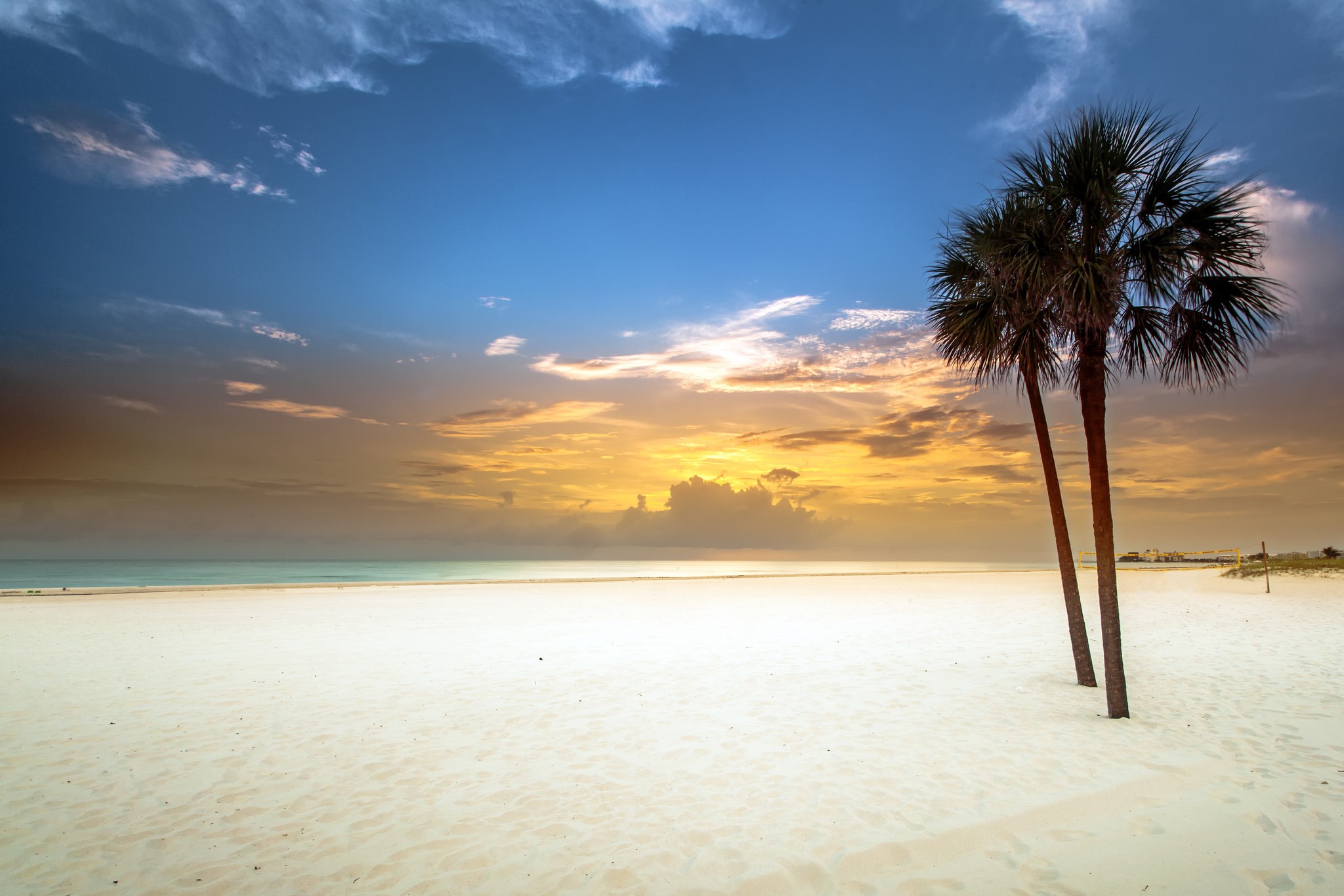 Two palm trees on a sandy beach at sunset HD Wallpaper