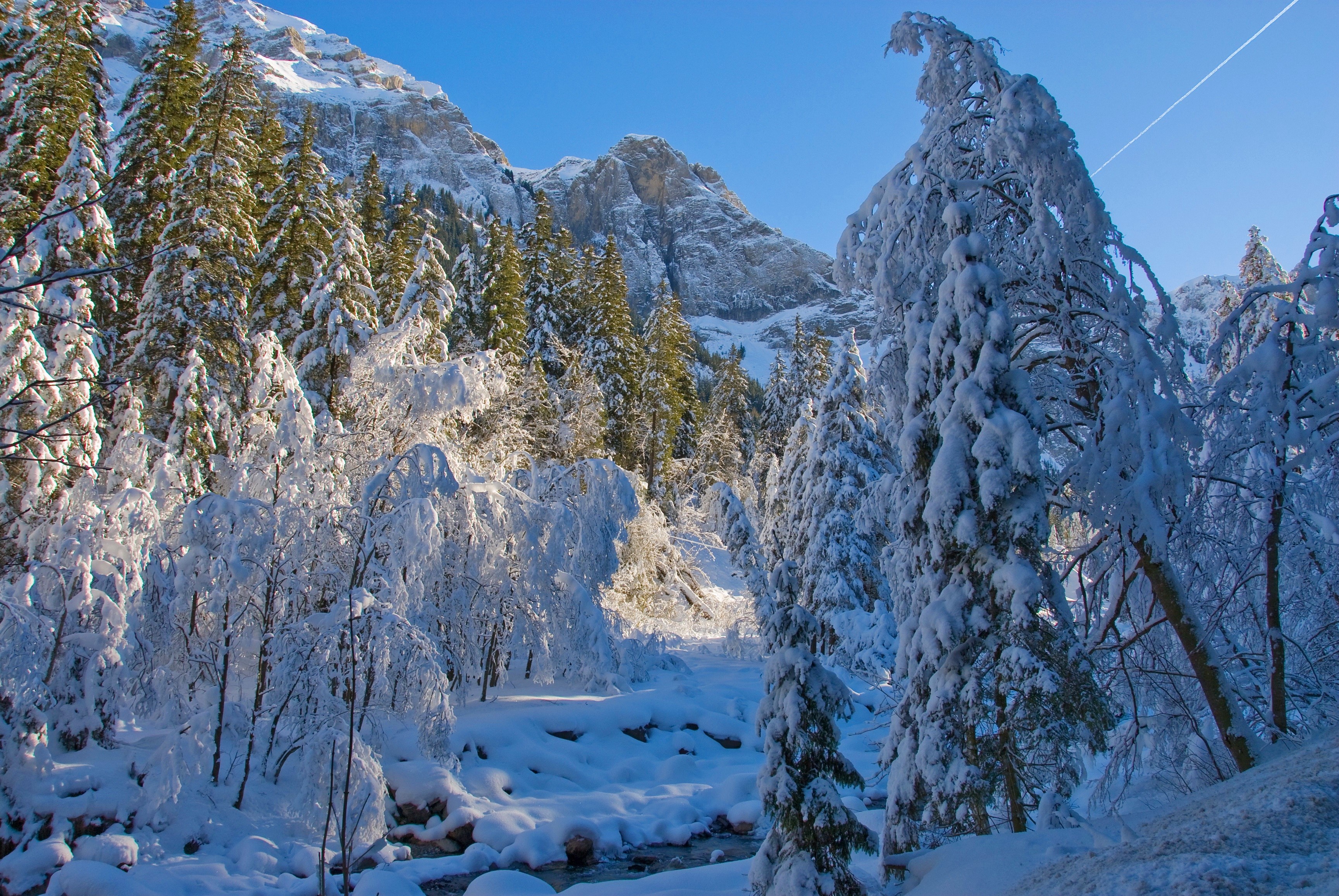 Snowy forest with mountains and a stream HD Wallpaper