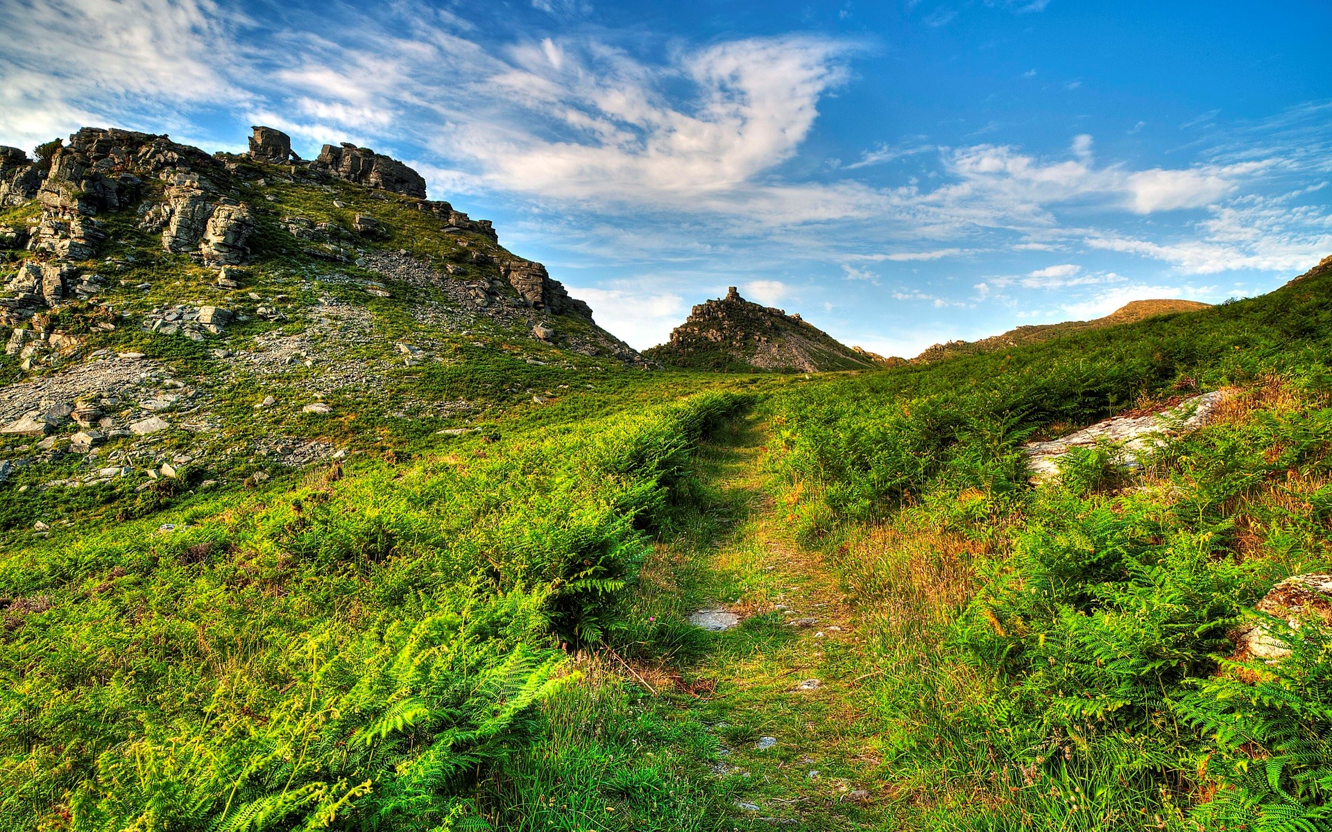 A path winds through a green, fern-covered hillside towards rocky peaks. HD Wallpaper